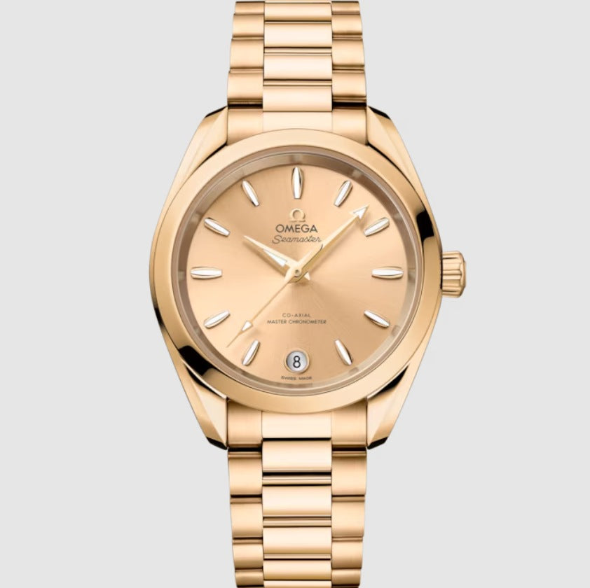 Omega Seamaster Aqua Terra 220.20.34.20.08.001 2026