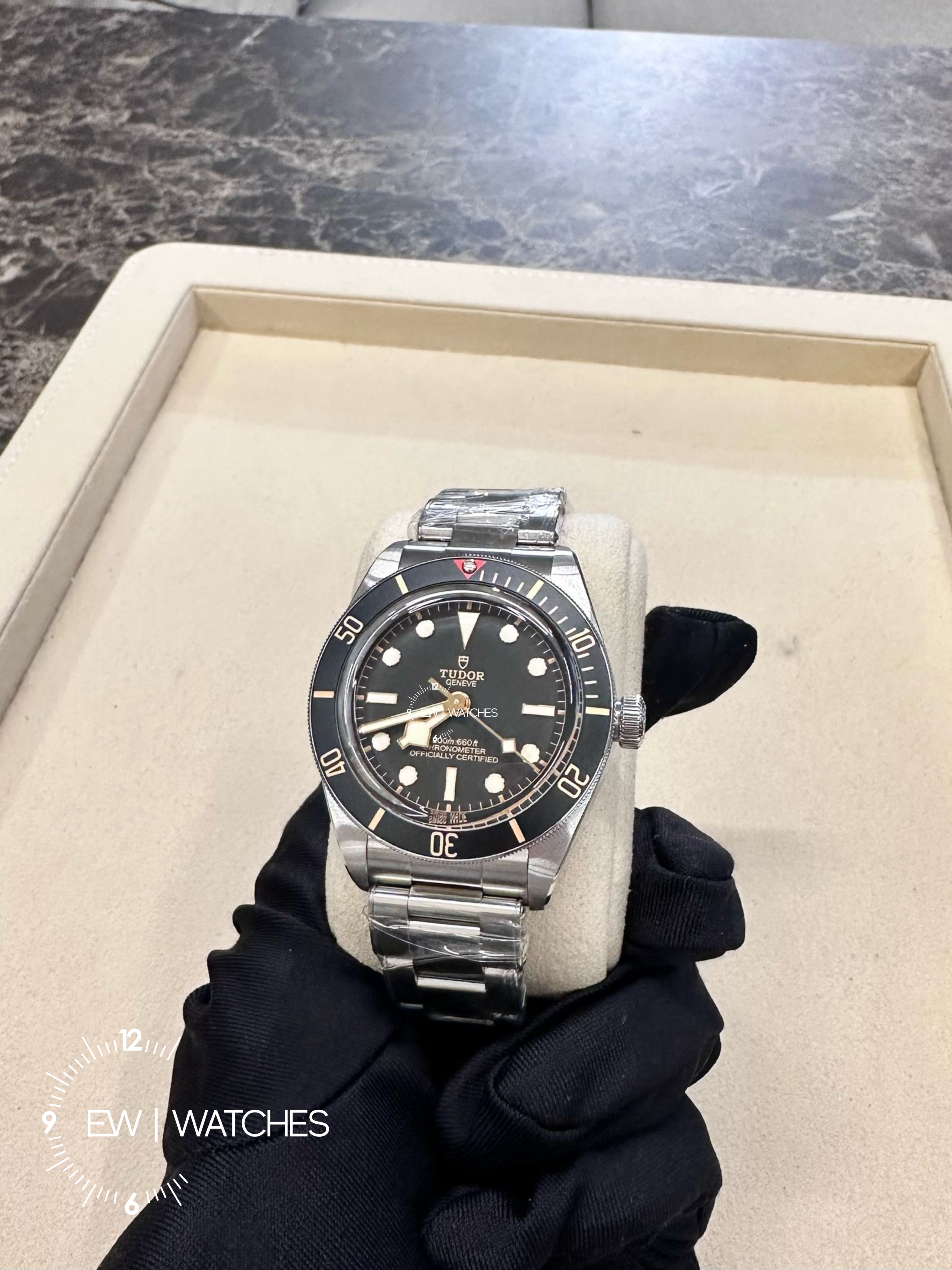Tudor Black Bay 79030n-0001 2026