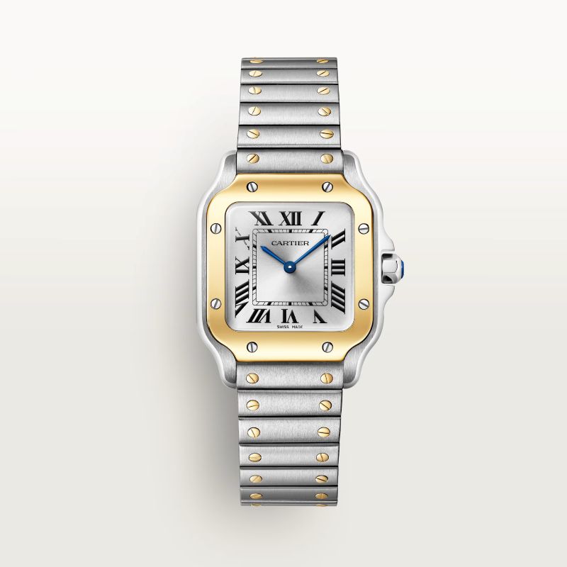 Cartier Santos W2SA0033 2026