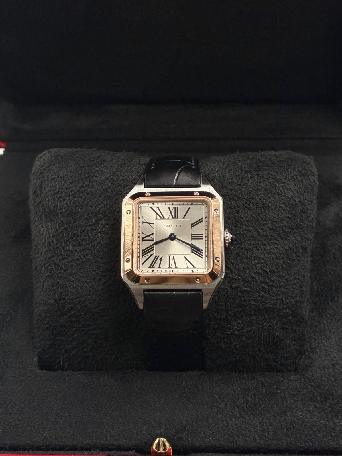 Cartier Santos W2SA0038