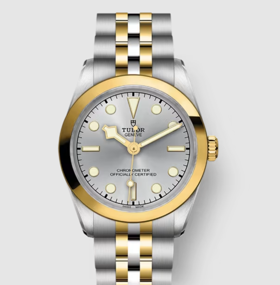 Tudor BLACK BAY 31 S&G SILVER DIAL M79603-0002 2026