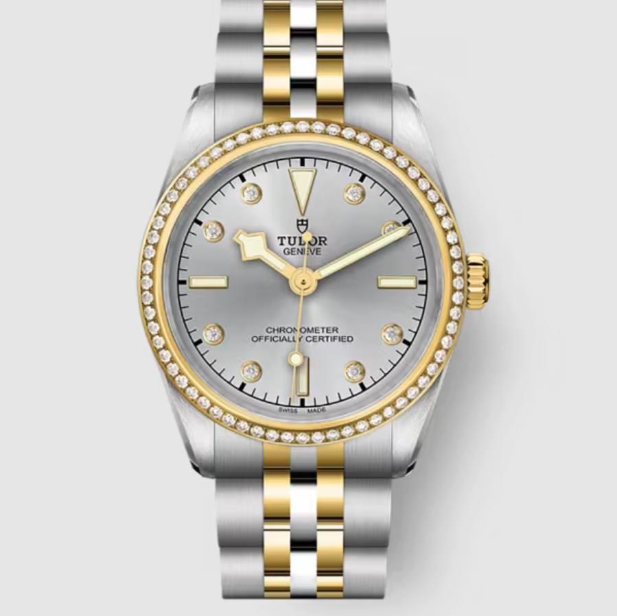 Tudor Black Bay 39 S&g Diamond SILVER M79673-0006 2026