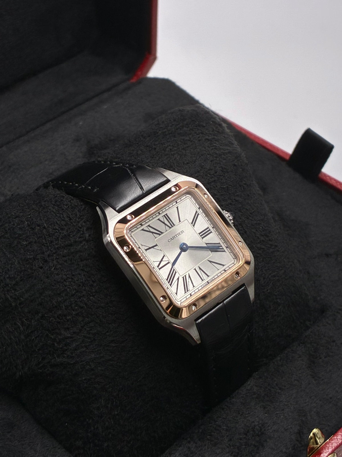 Cartier Santos W2SA0038