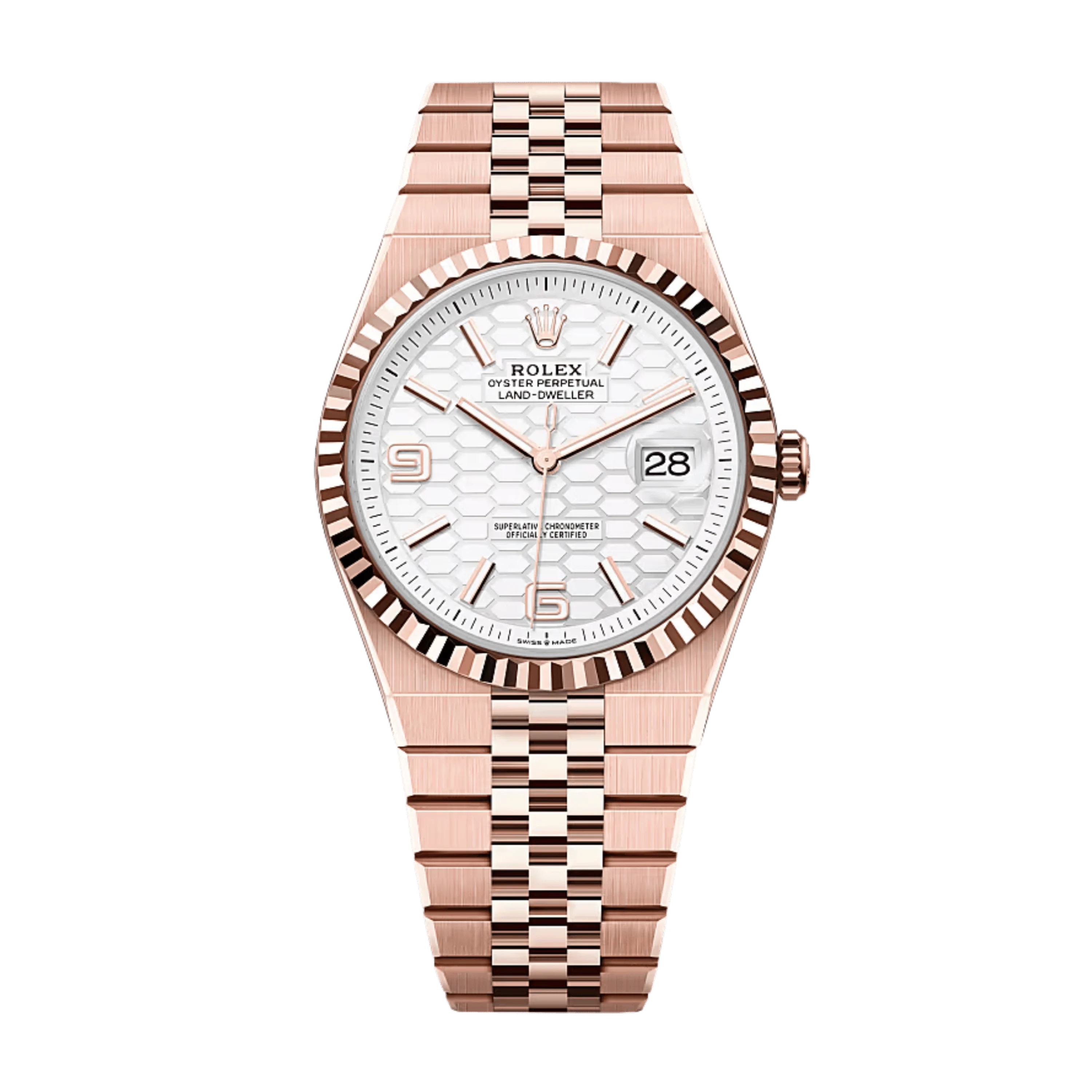 Rolex Land-Dweller 40 127335 White 2026