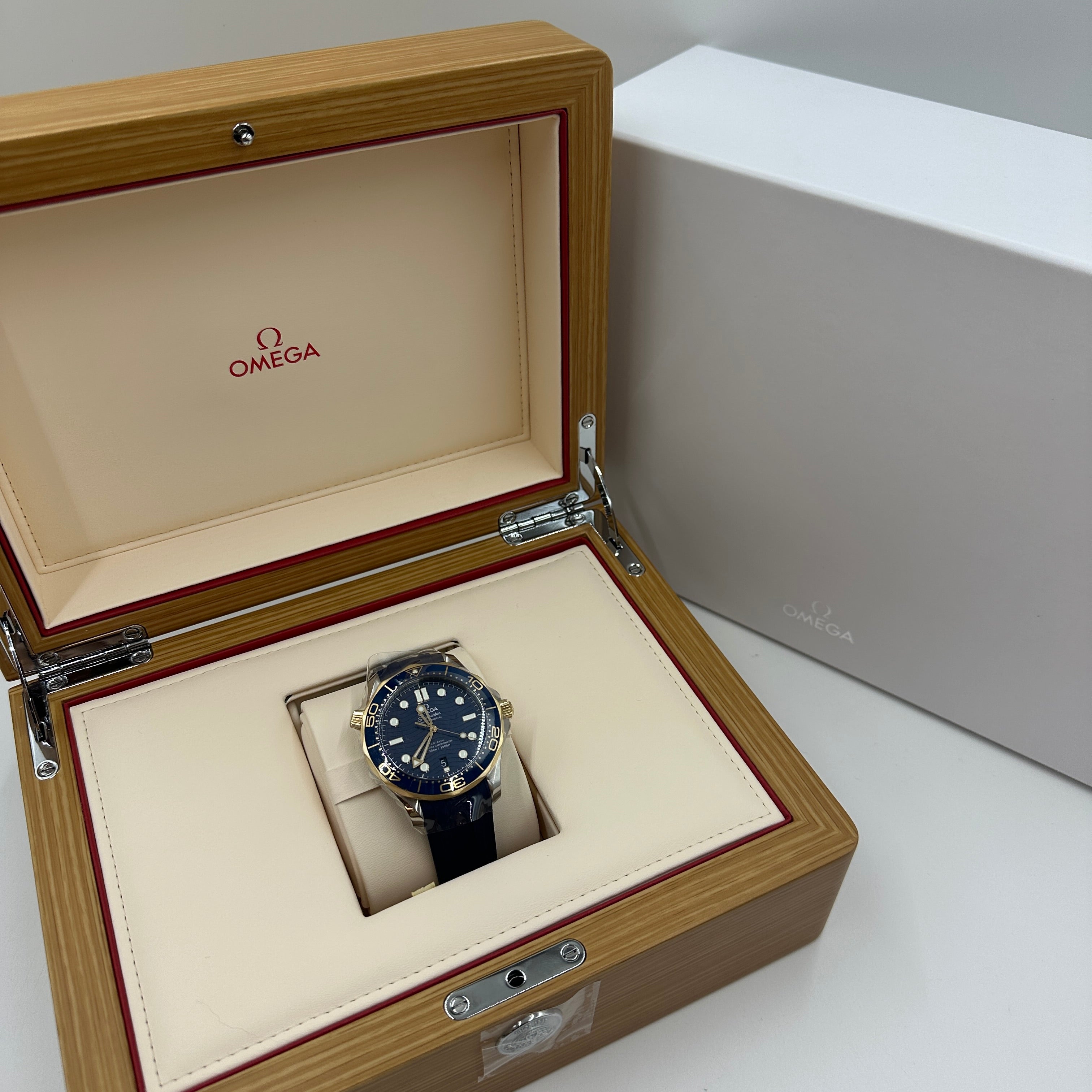 Omega Seamaster Planet Ocean 210.22.42.20.03.002 2026