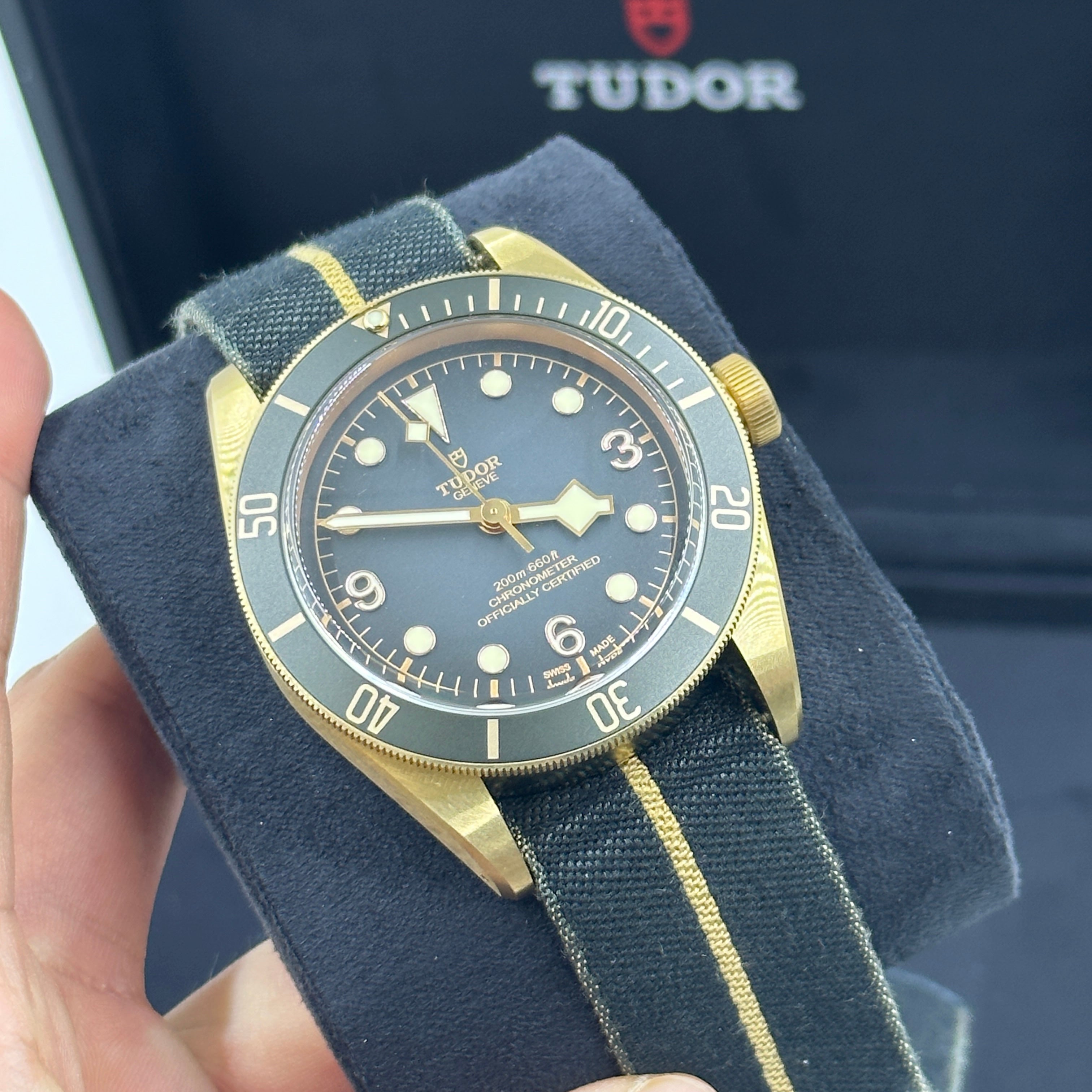 BLACK BAY BRONZE 41MM 79250BA-0002 TELA