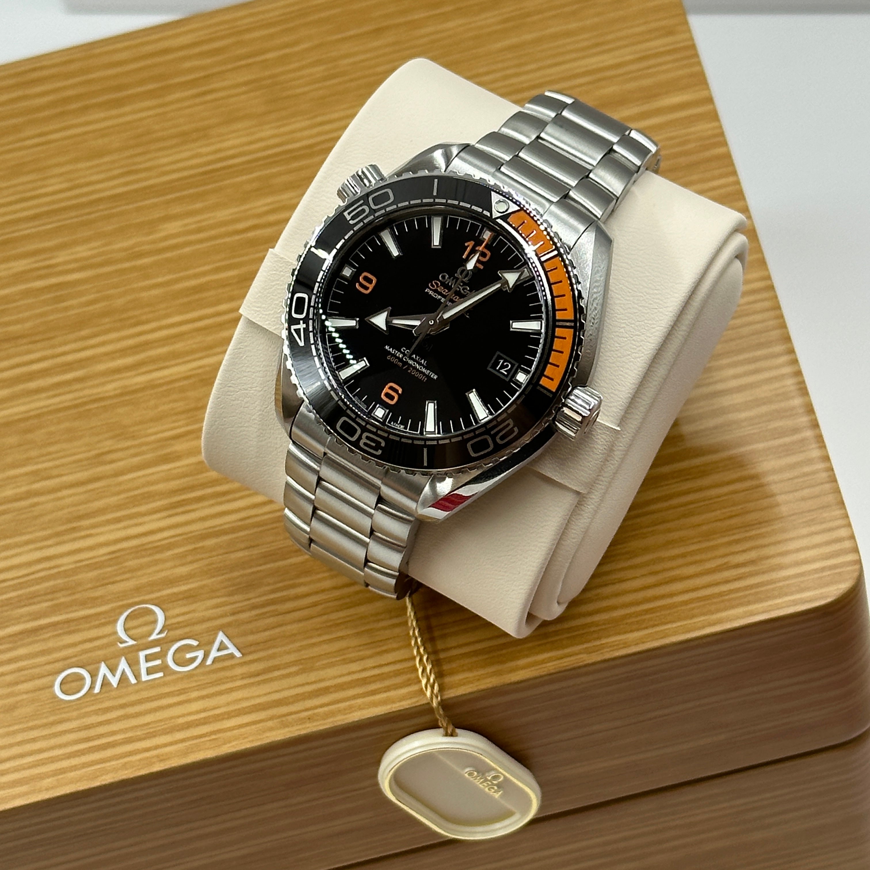 Omega Seamaster Planet Ocean 600M
