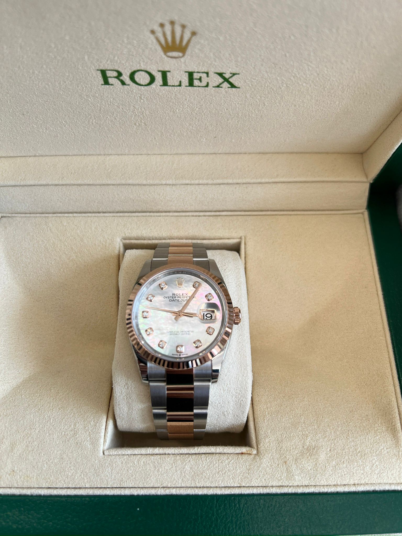 Rolex Datejust 36 126231Ng Weiße Auster 2025