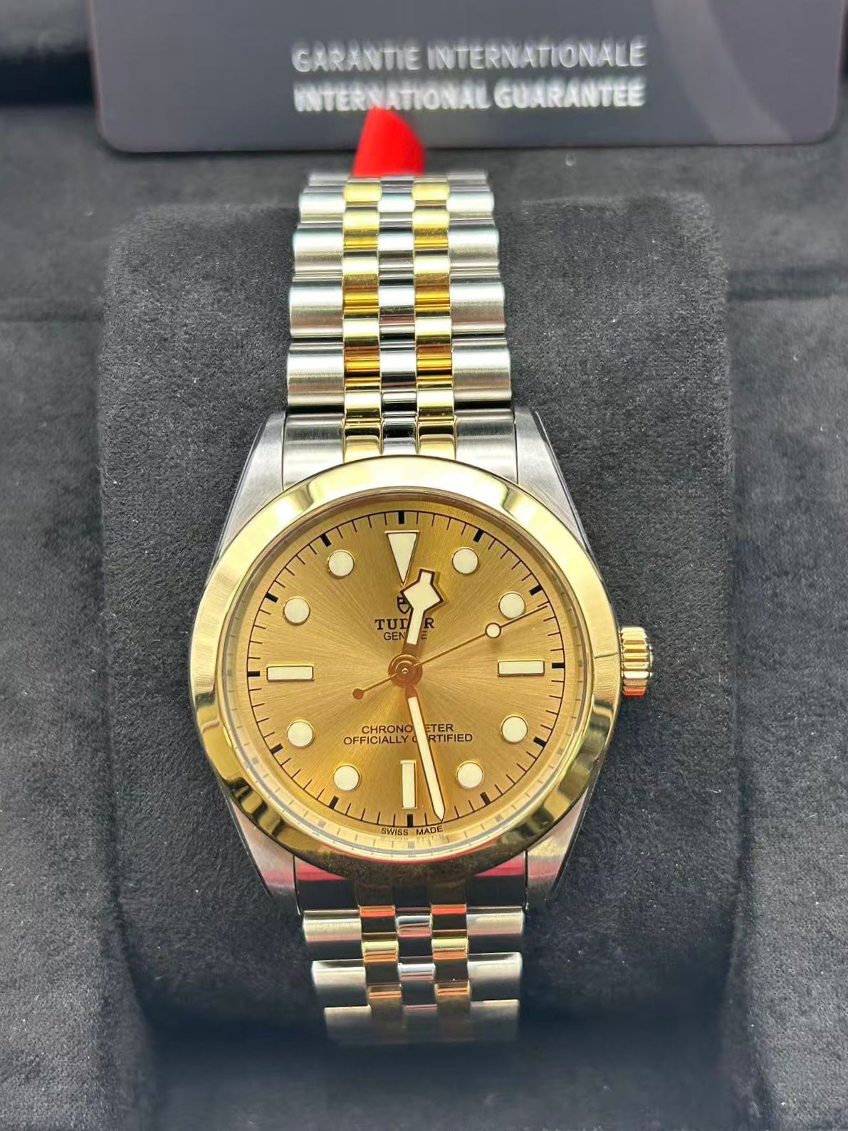 Tudor Black Bay 39 S&G 79663-0005