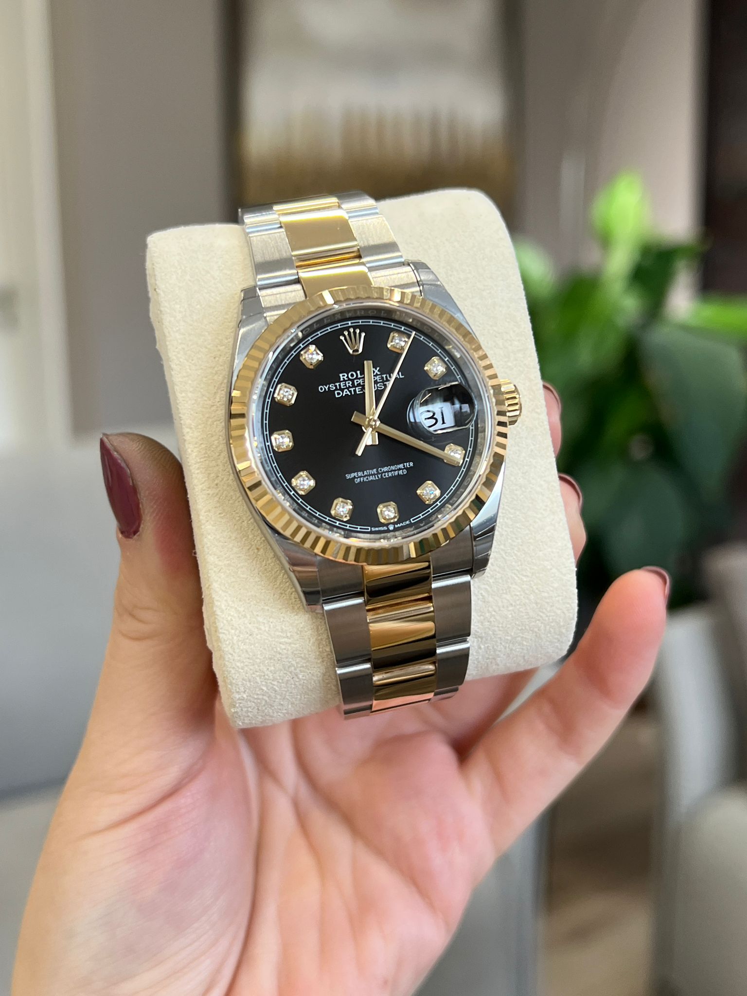 Rolex Datejust 36 126233G Schwarze Auster 2024