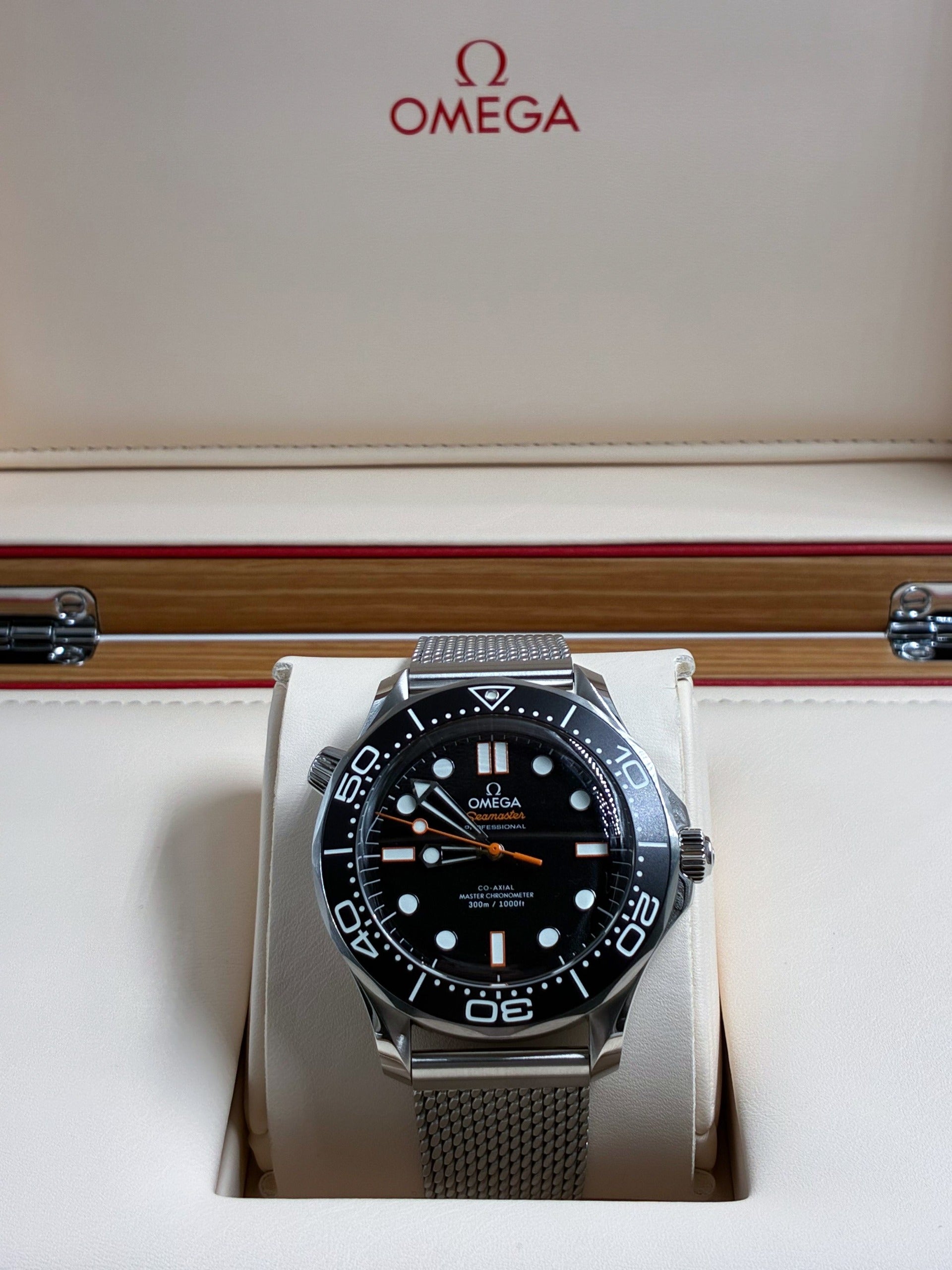 Omega Seamaster 300M 210.30.42.20.01.018