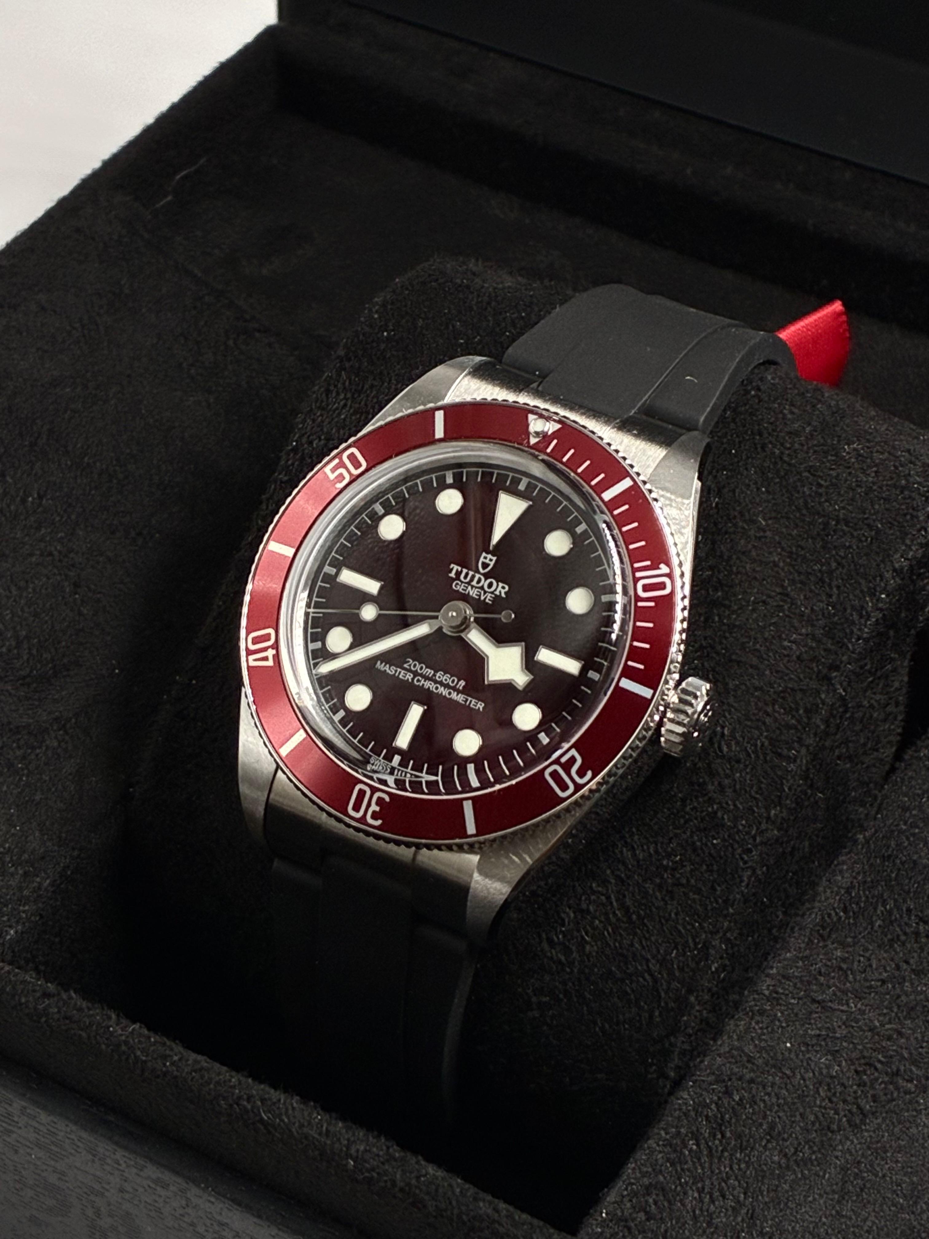 Tudor Black Bay M7939A1A0RU-0003 2026