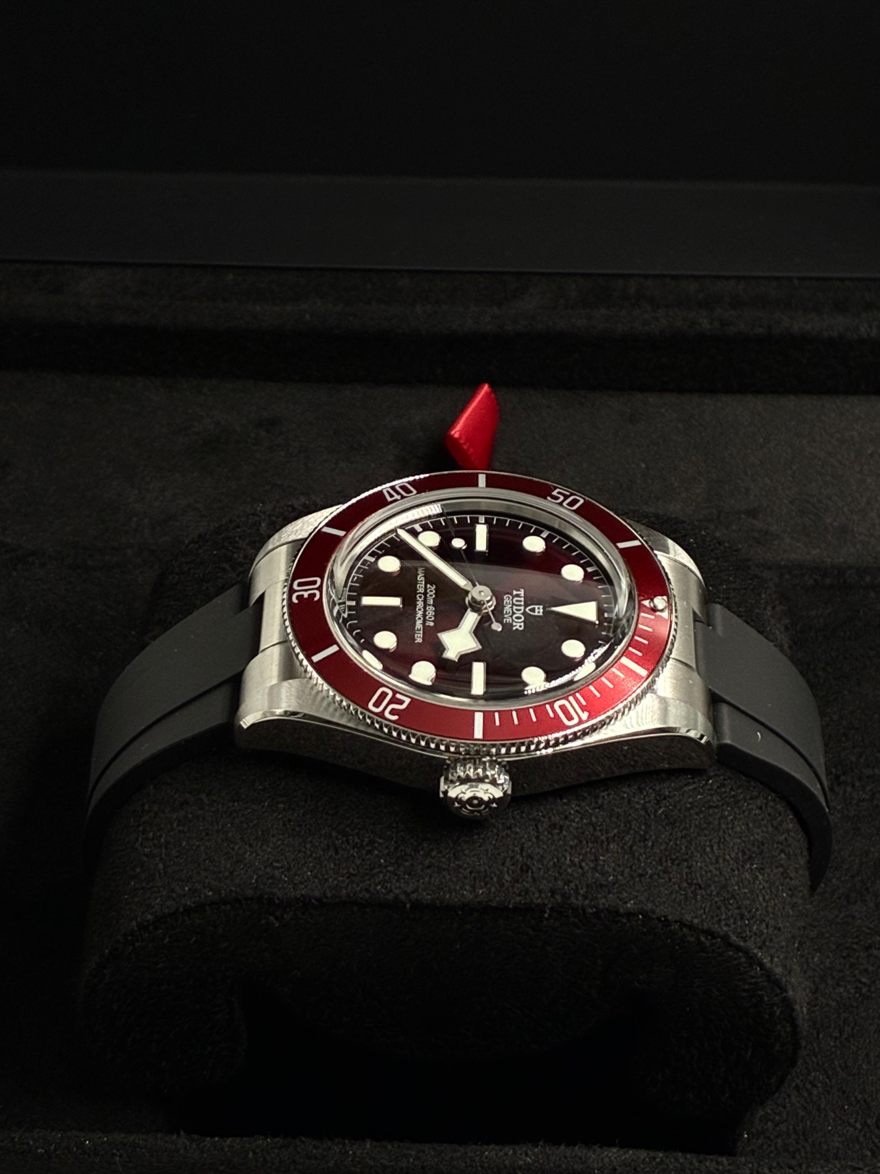 Tudor Black Bay M7939A1A0RU-0003 2026