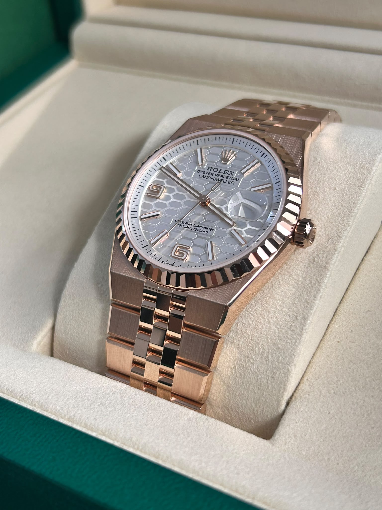 Rolex Land-Dweller 36 127235 White 2026