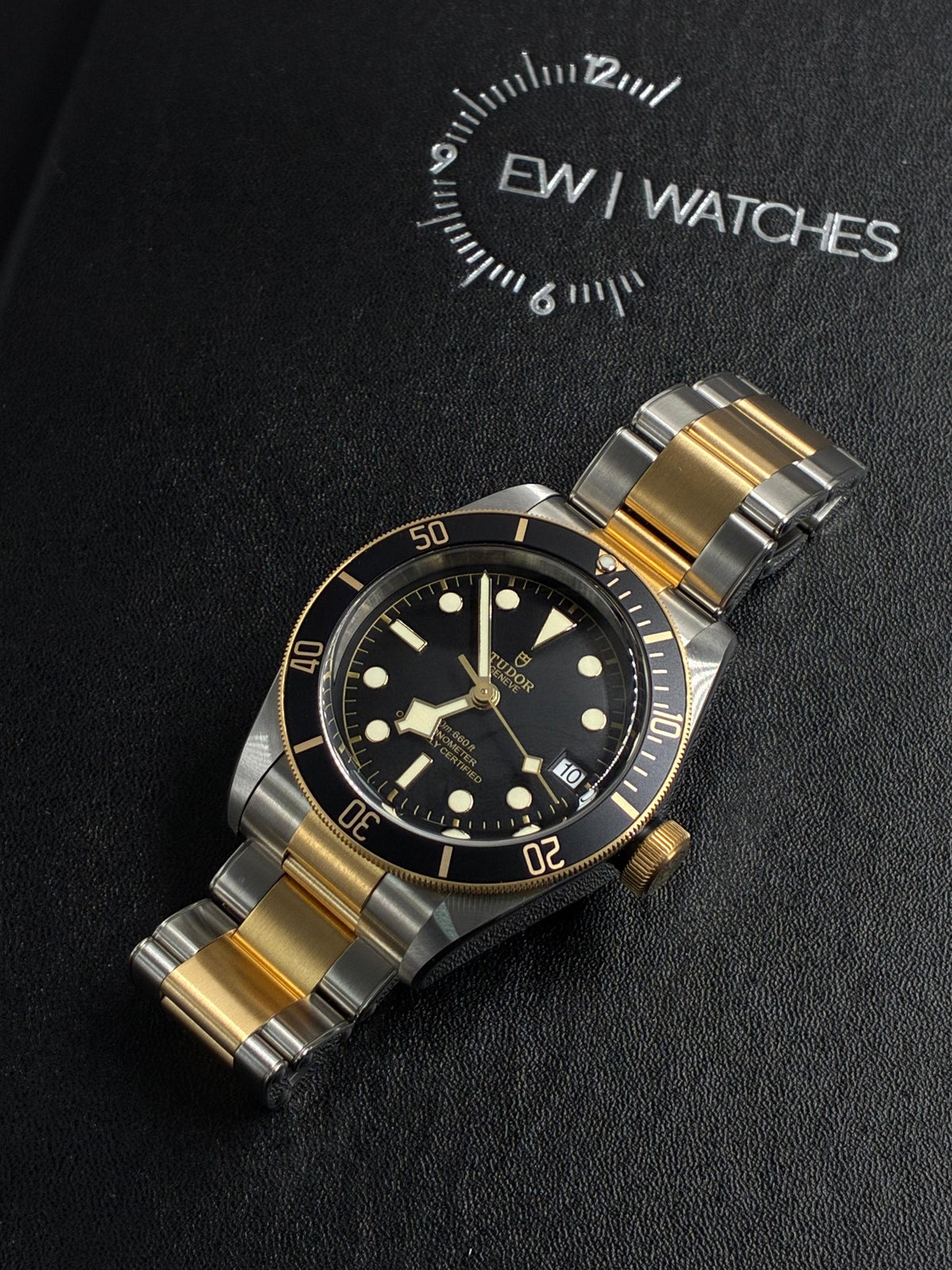Tudor Black Bay S&g M79733N-0008 2026