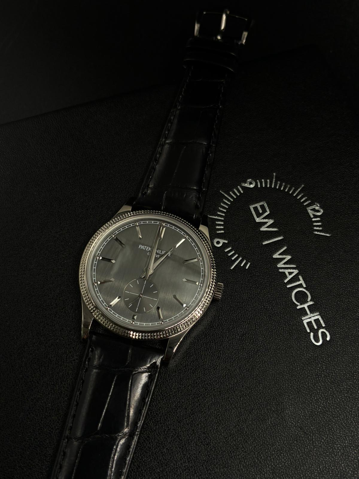 Patek Philippe Calatrava 6119G-001 Gray 2026