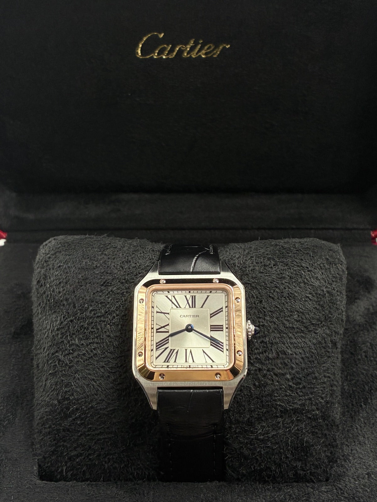 Cartier Santos W2SA0038