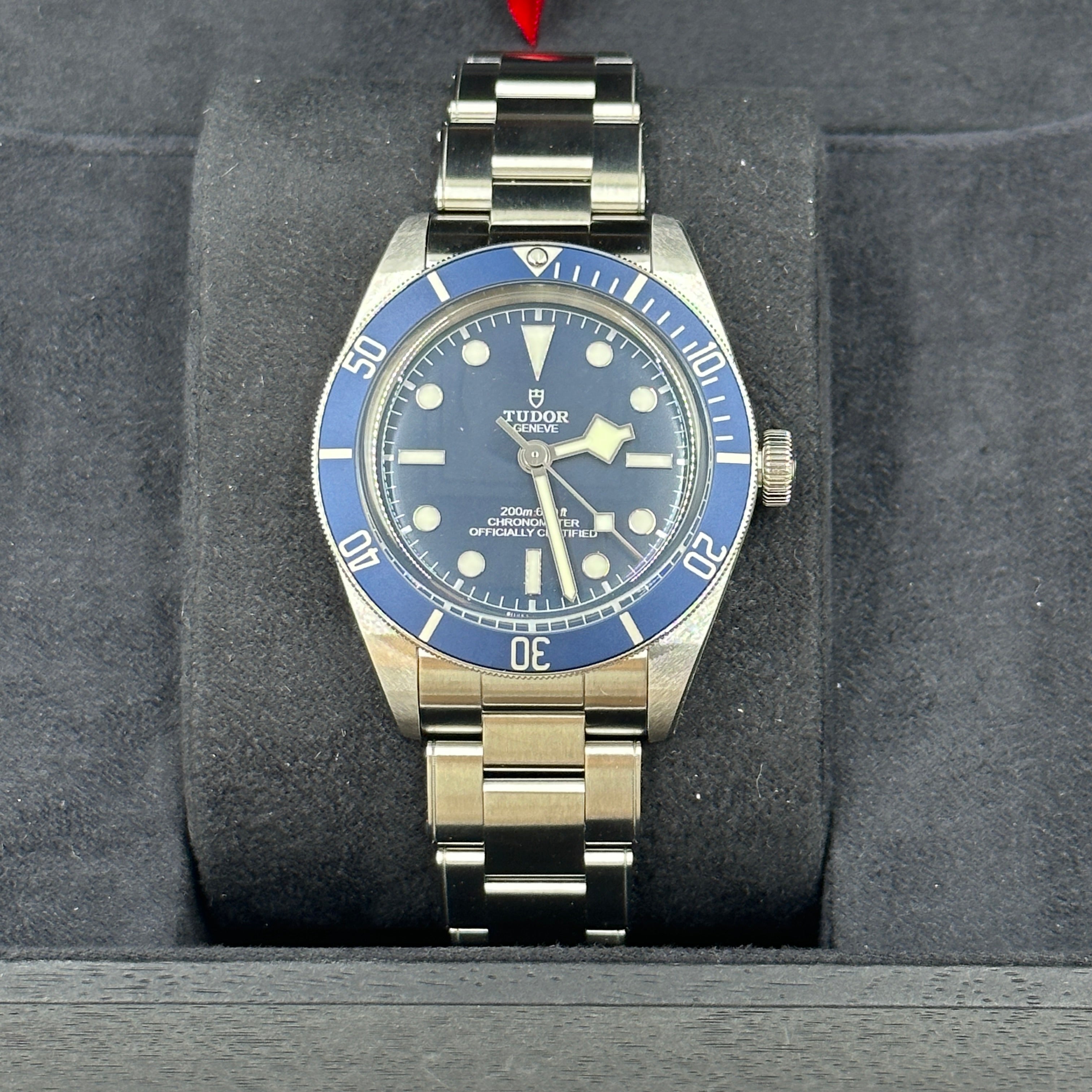 Tudor Black Bay 58 39 mm 79030B-0001 Blauer Stahl 2025