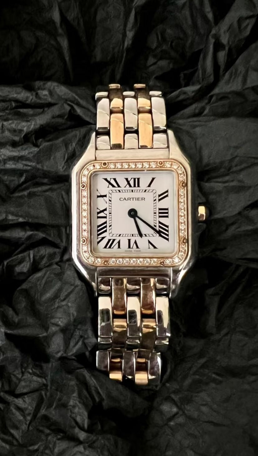 Cartier Panthère W3pn0015 2026
