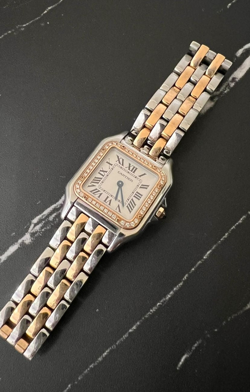 Cartier Panthère W3pn0015 2026