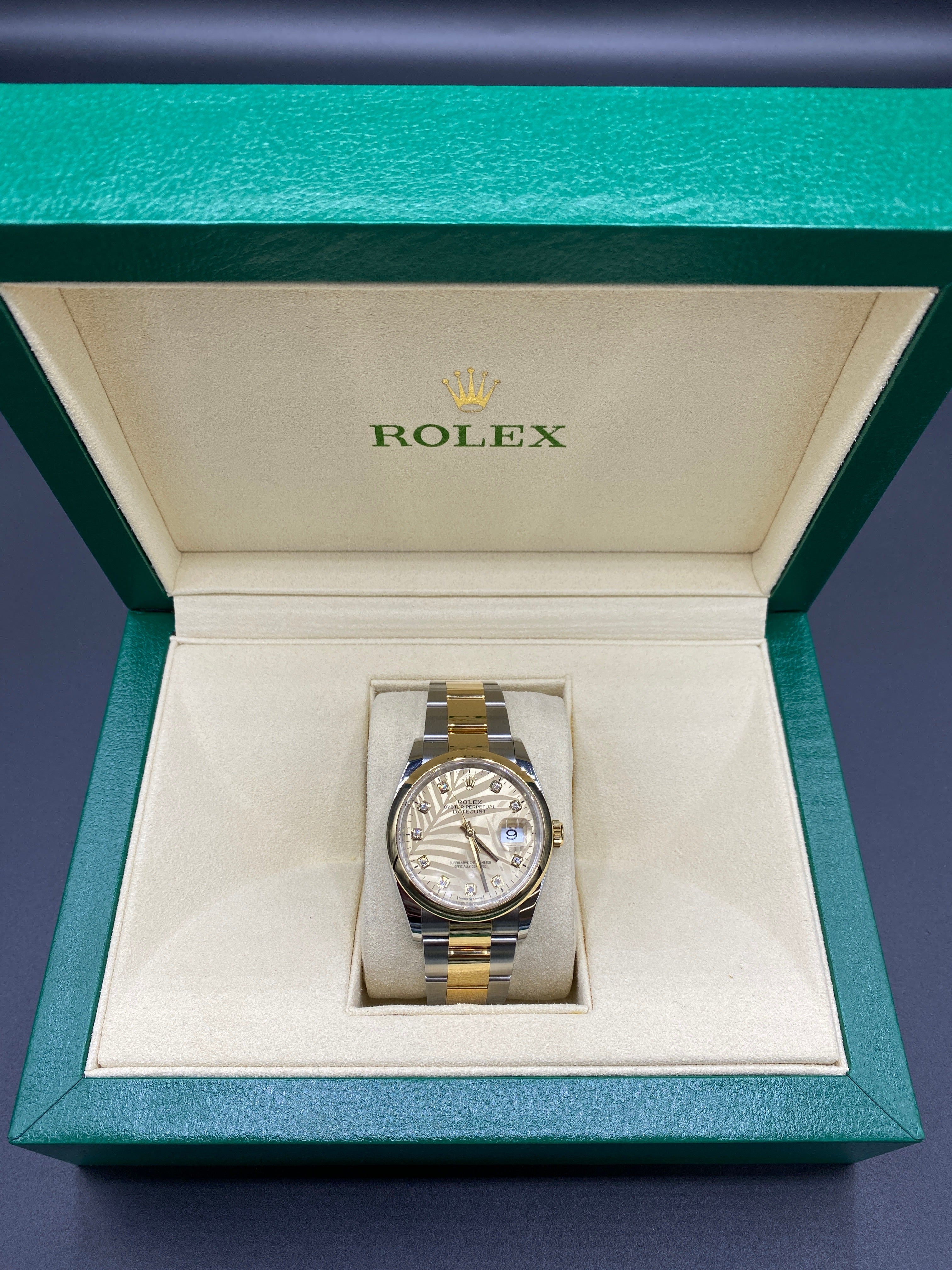 Rolex Datejust 36 126203G Champ Palm Oyster 2024
