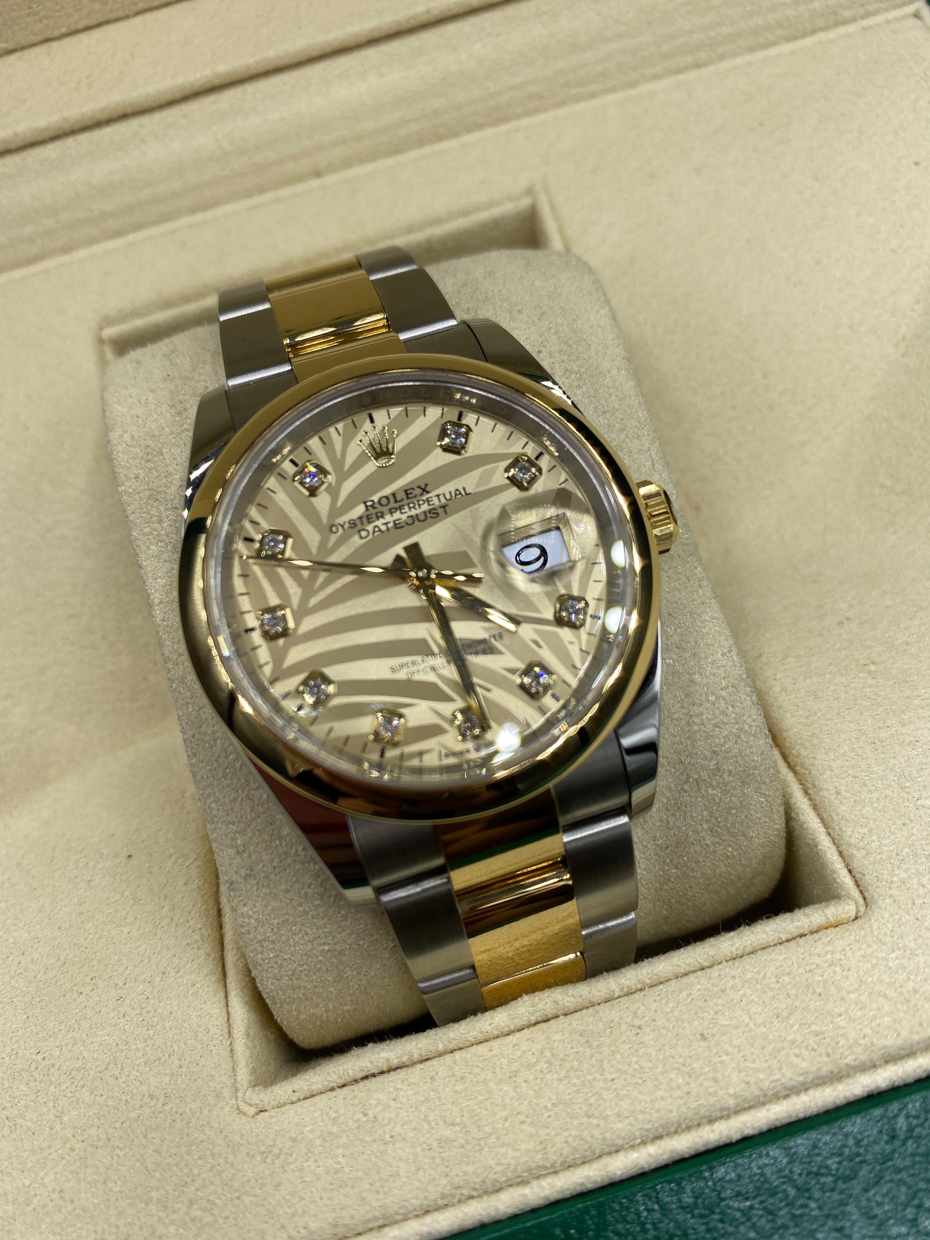Rolex Datejust 36 126203G Champ Palm Oyster 2024
