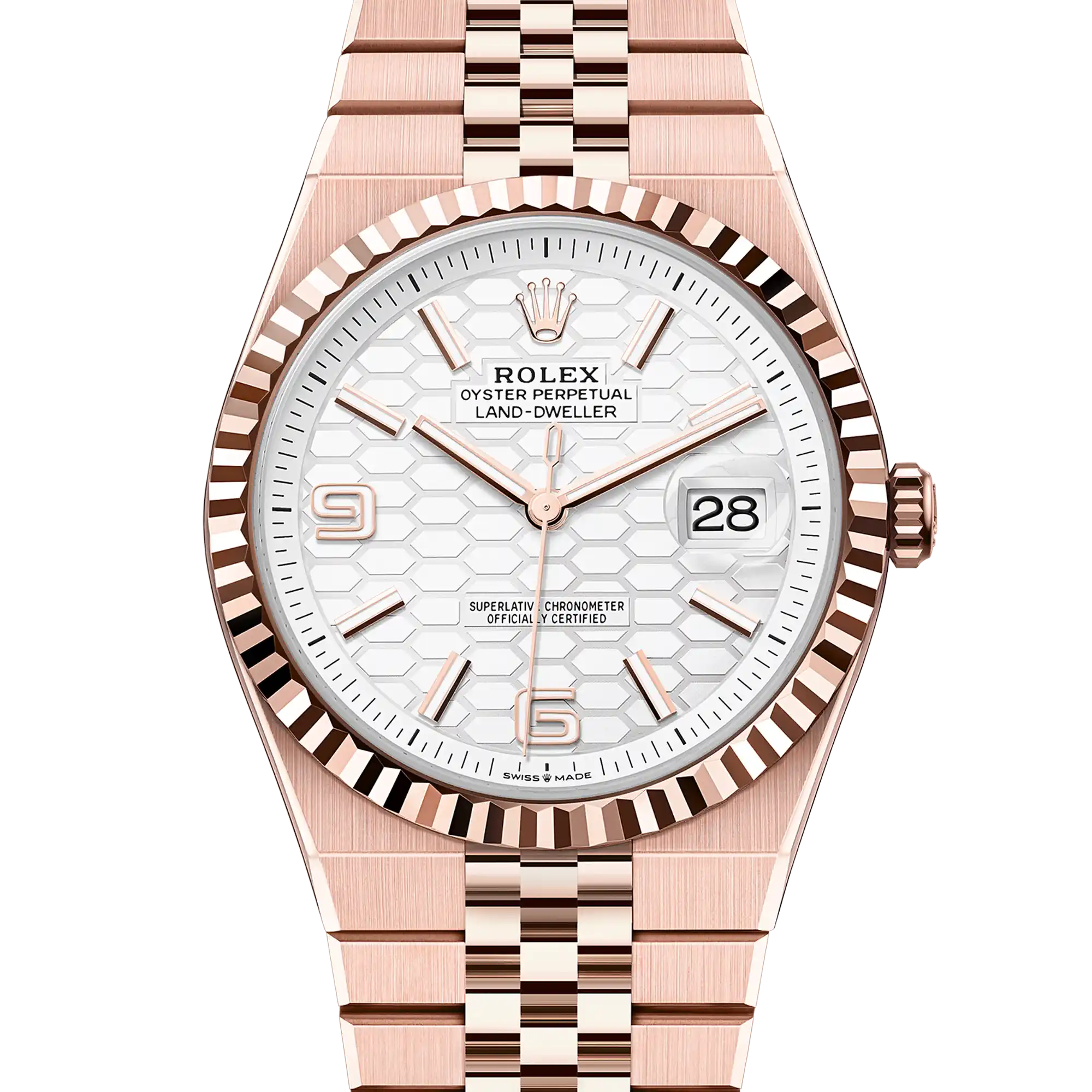 Rolex Land-Dweller 40 127335 White 2026