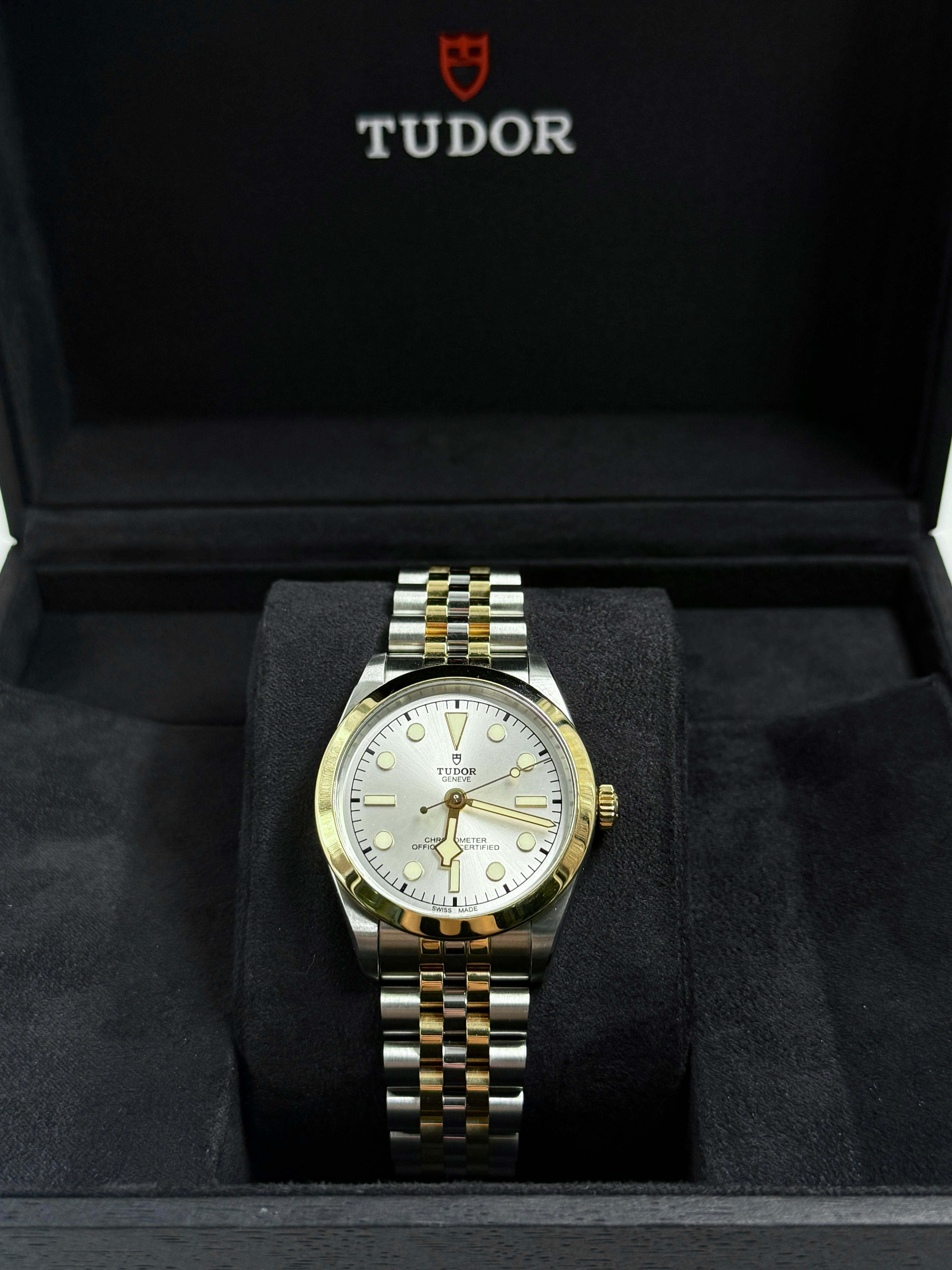Tudor Black Bay 36 M79643-0002 SILVER