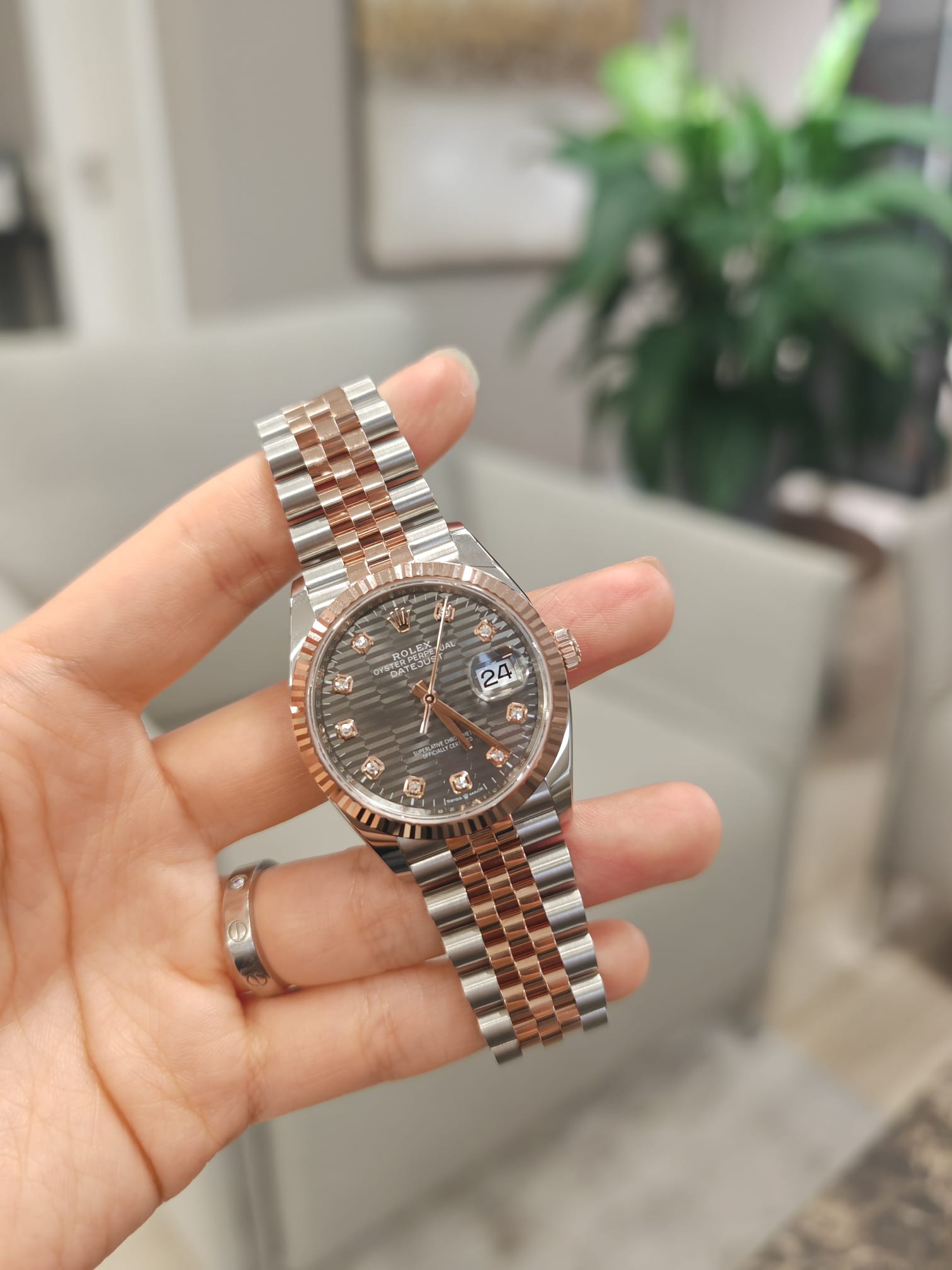 Rolex Datejust 36 126231G Grau geriffelte Oyster 2024