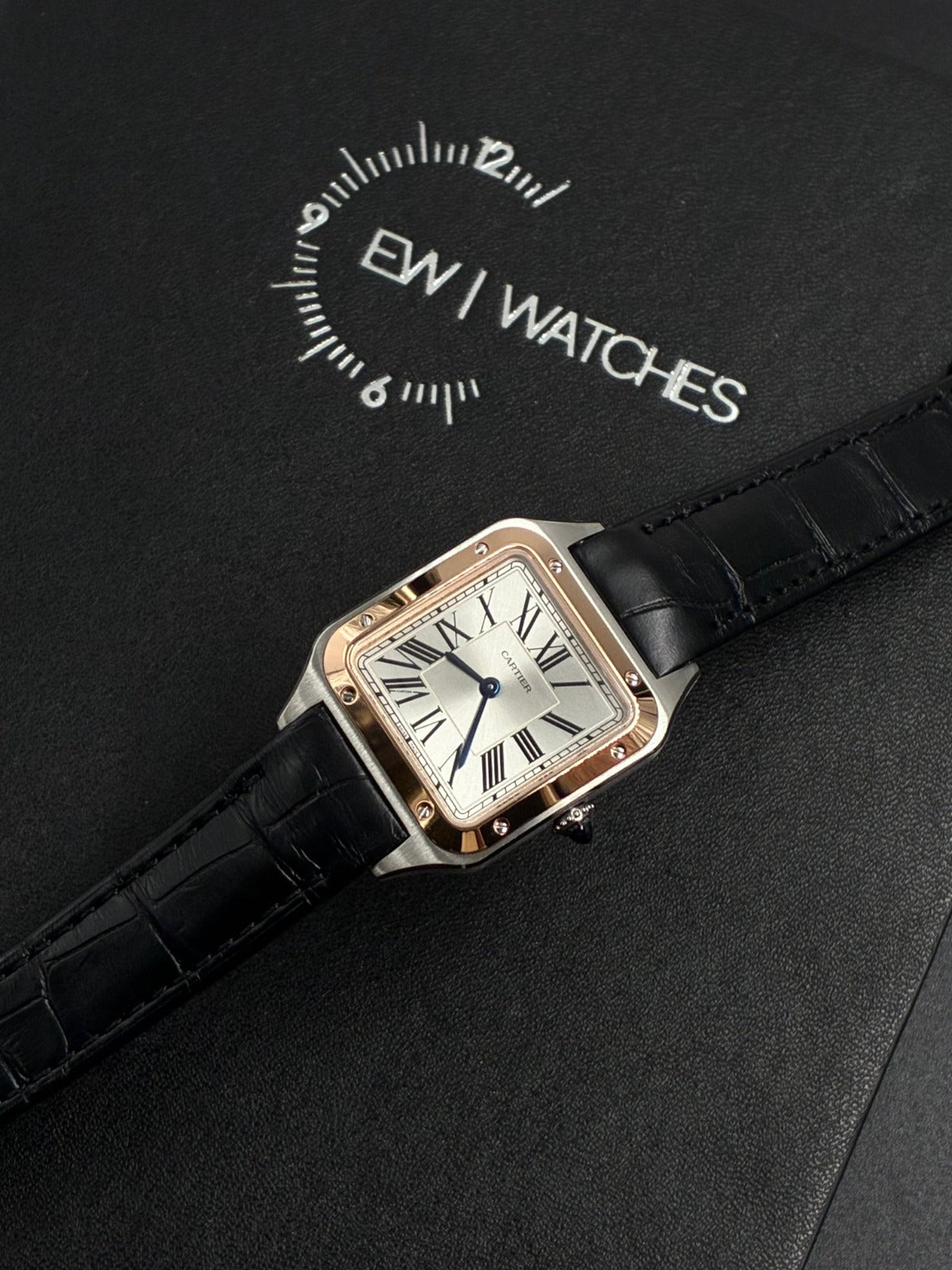 Cartier  Santos W2SA0038