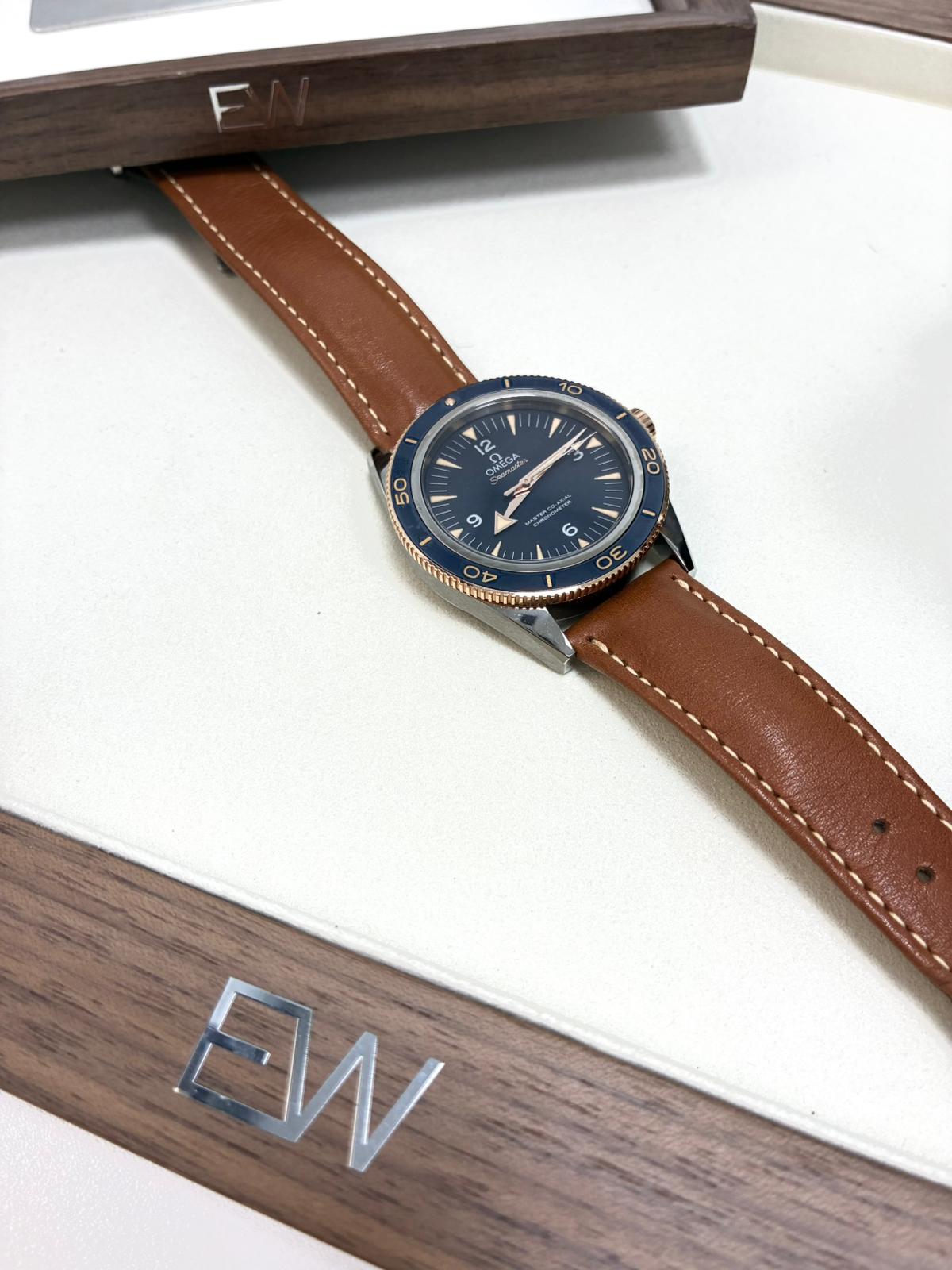 Omega Seamaster 300 Master Chronometer 41 MM 233.62.41.21.03.001 2025