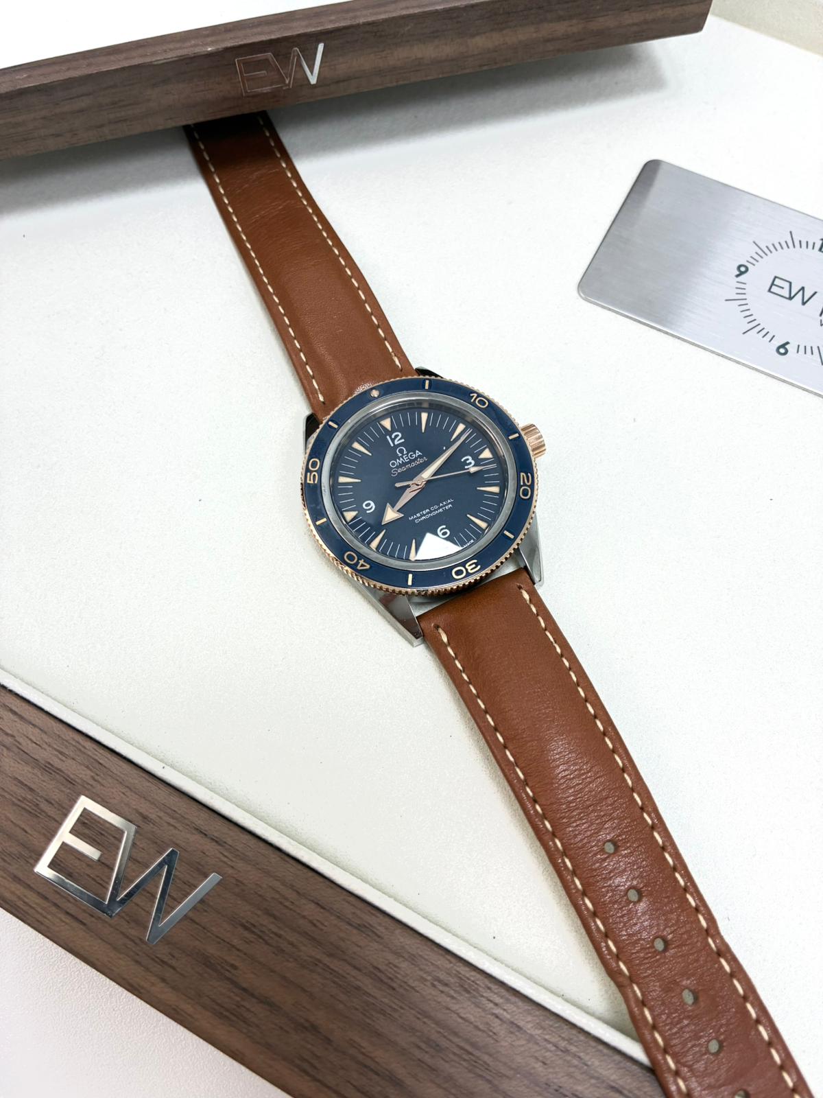 Omega Seamaster 300 Master Chronometer 41 MM 233.62.41.21.03.001 2025