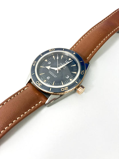 Omega Seamaster 300 Master Chronometer 41 MM 233.62.41.21.03.001 2025