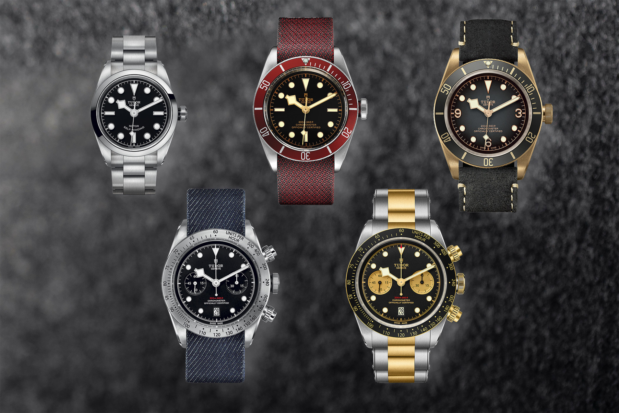 Black Bay Collection