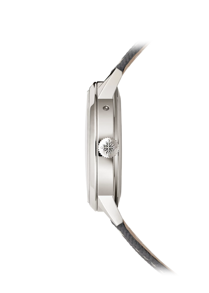 Patek Philippe grand-complications 5236P-011 2025