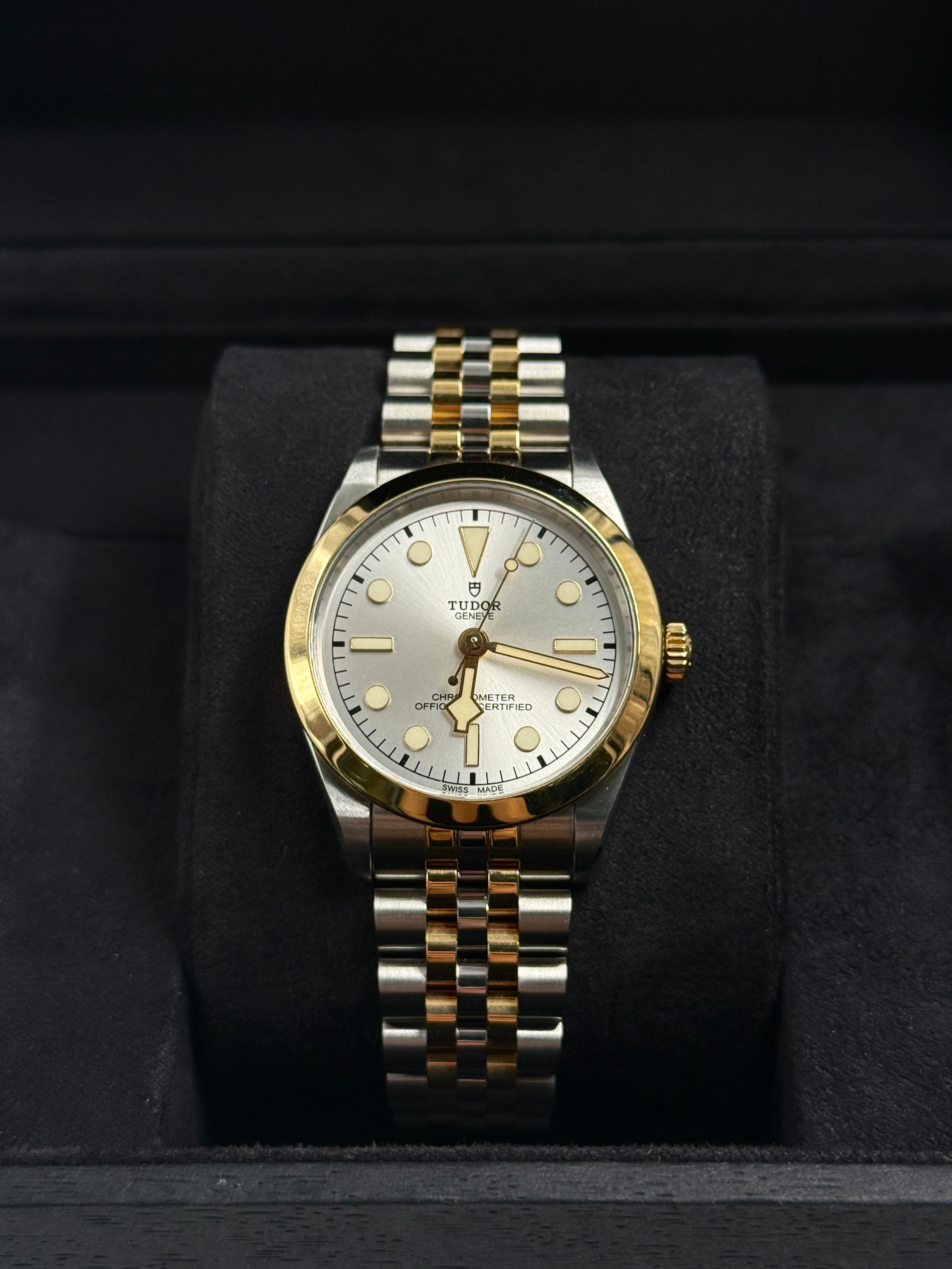 Tudor Black Bay 36 M79643-0002 SILVER