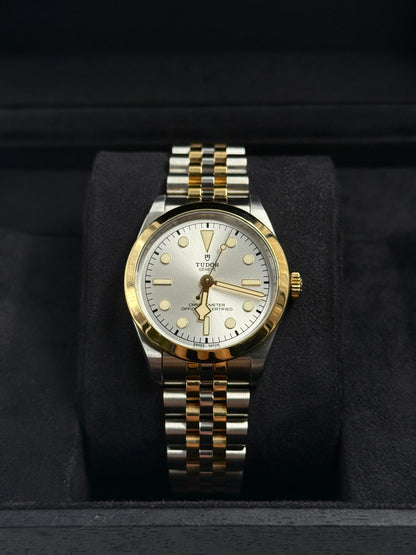 Tudor Black Bay 36 M79643-0002 SILVER