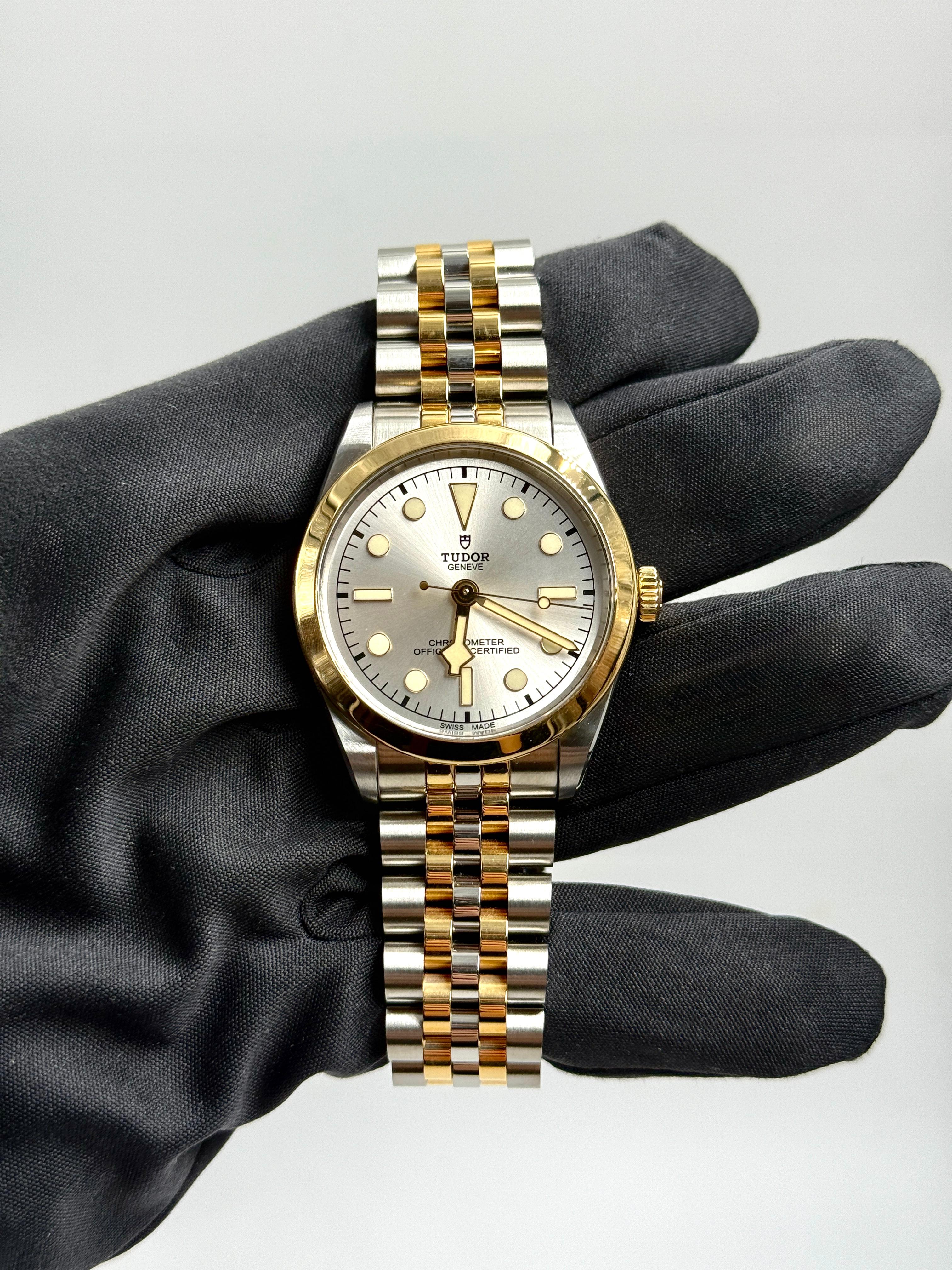 Tudor Black Bay 36 M79643-0002 SILVER