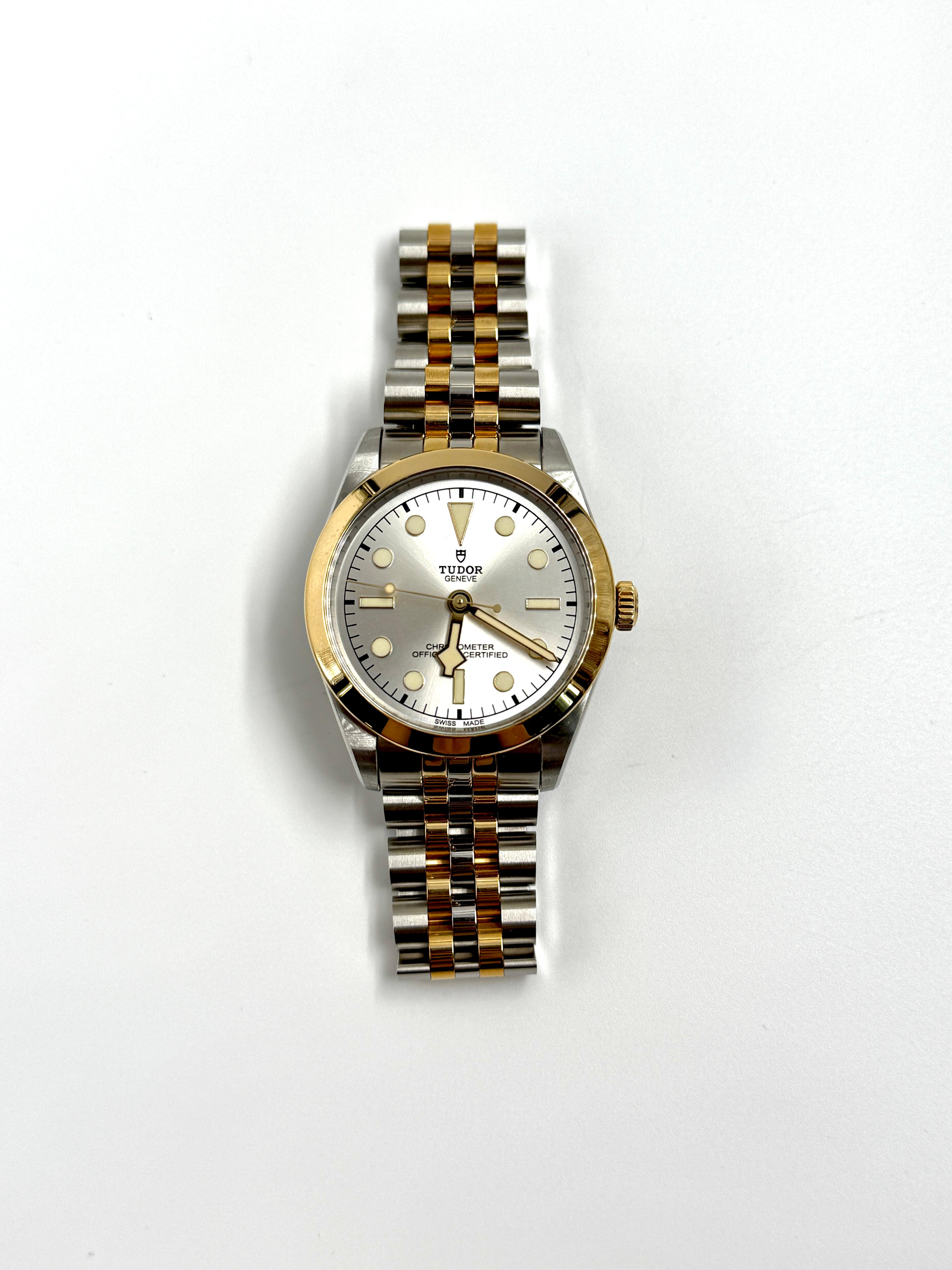 Tudor Black Bay 36 M79643-0002 SILVER