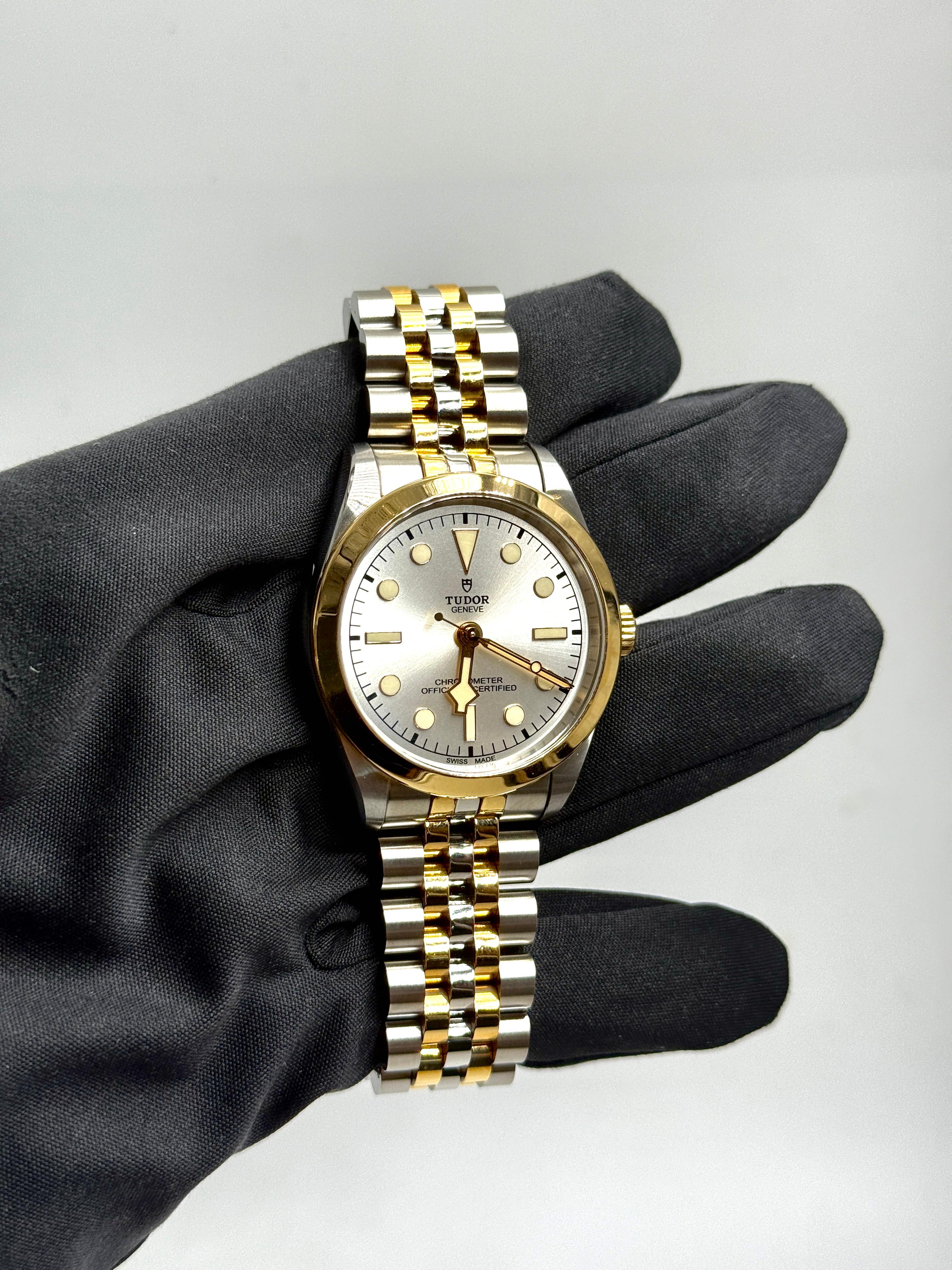 Tudor Black Bay 36 M79643-0002 SILVER