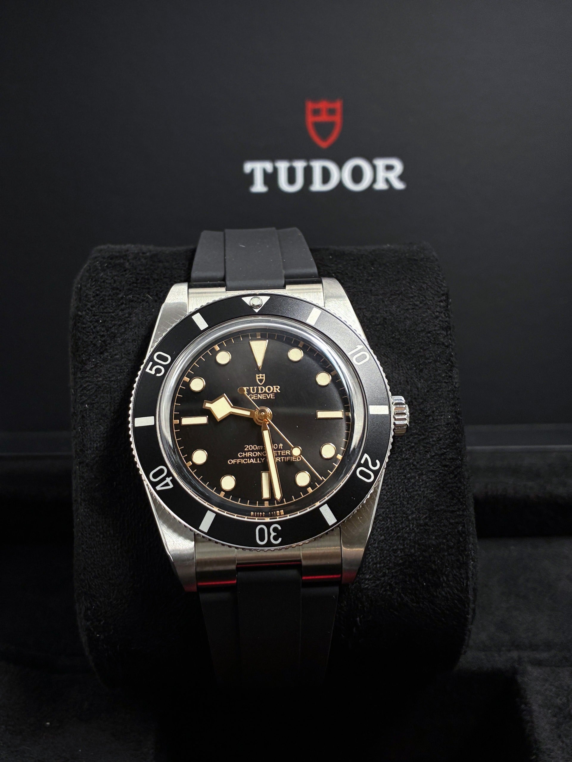 Tudor Black Bay 54 m79000n-0002 2026