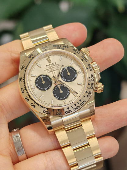 Rolex Cosmograph Daytona 126508 Golden und leuchtend schwarz