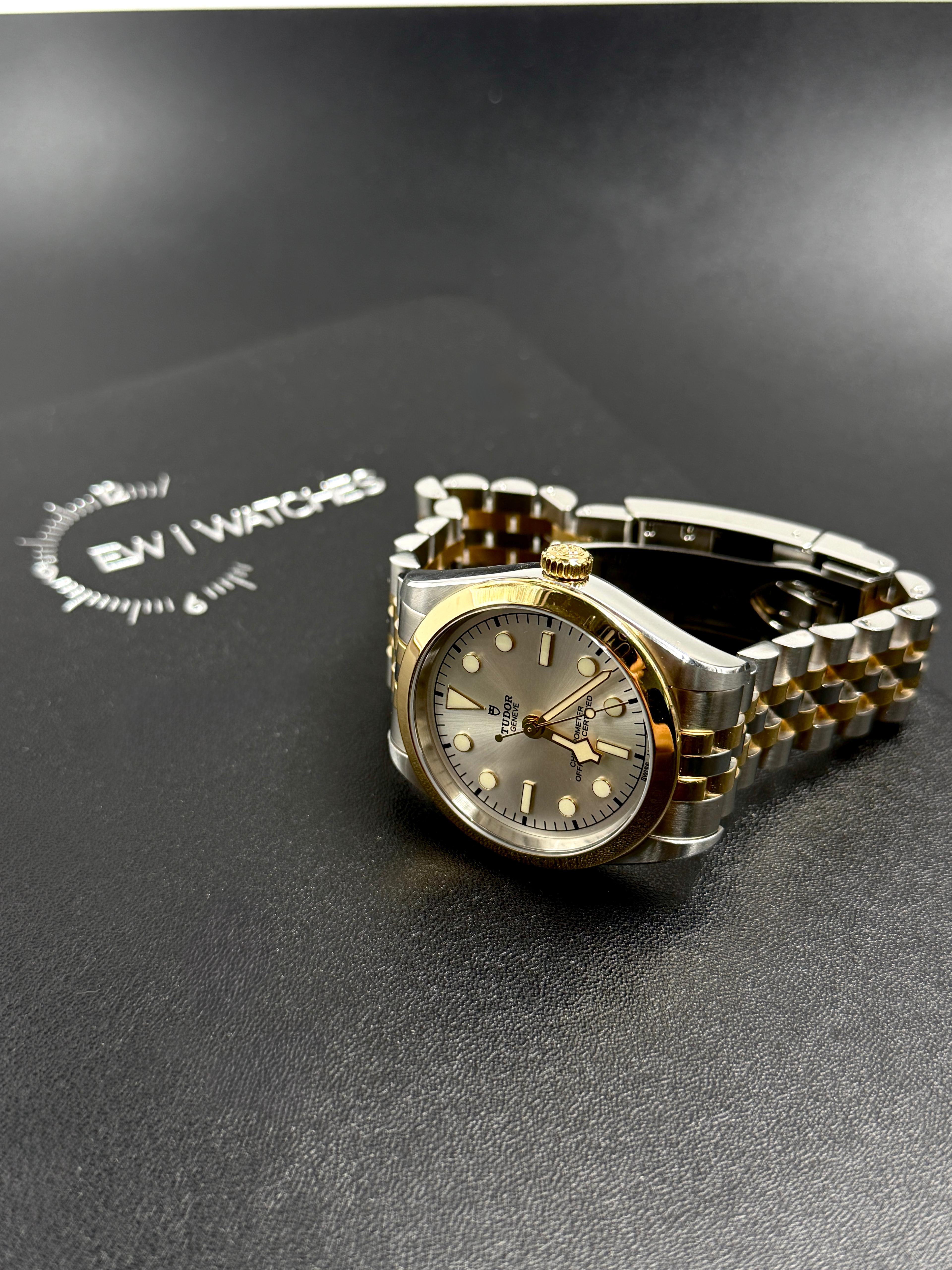 Tudor Black Bay 36 M79643-0002 SILVER