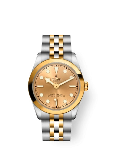 Tudor 79603-0005 Black Bay 31 S&G