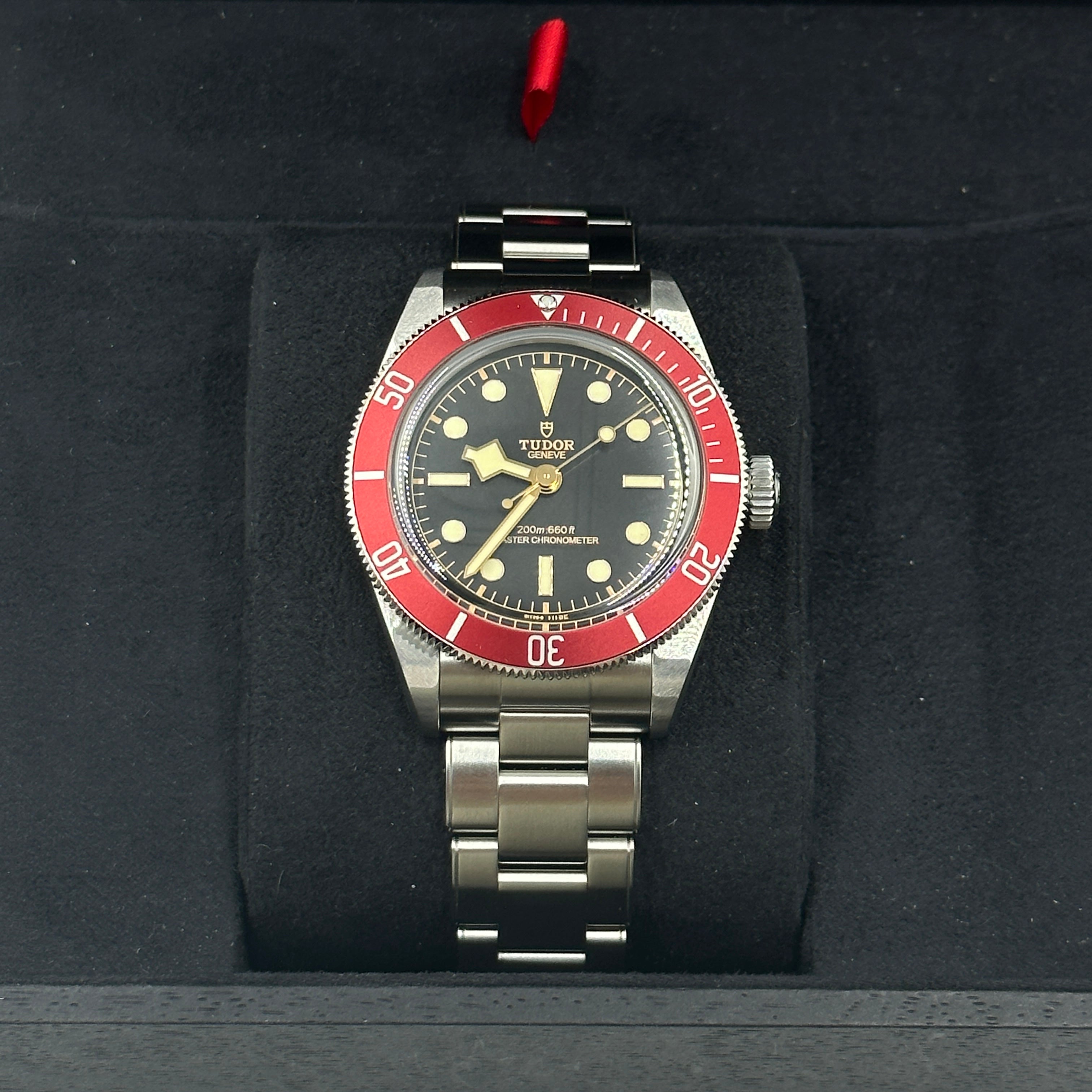 Tudor Black Bay M7941A1A0RU-0001 2026