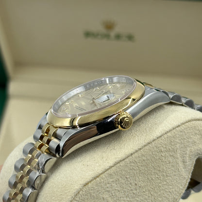 Rolex Datejust 36 126203G Champ Palm Jubilee 2024