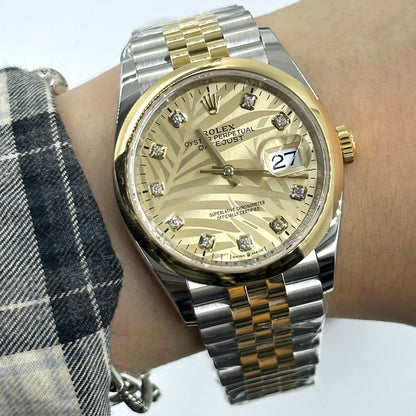 Rolex Datejust 36 126203G Champ Palm Jubilee 2024