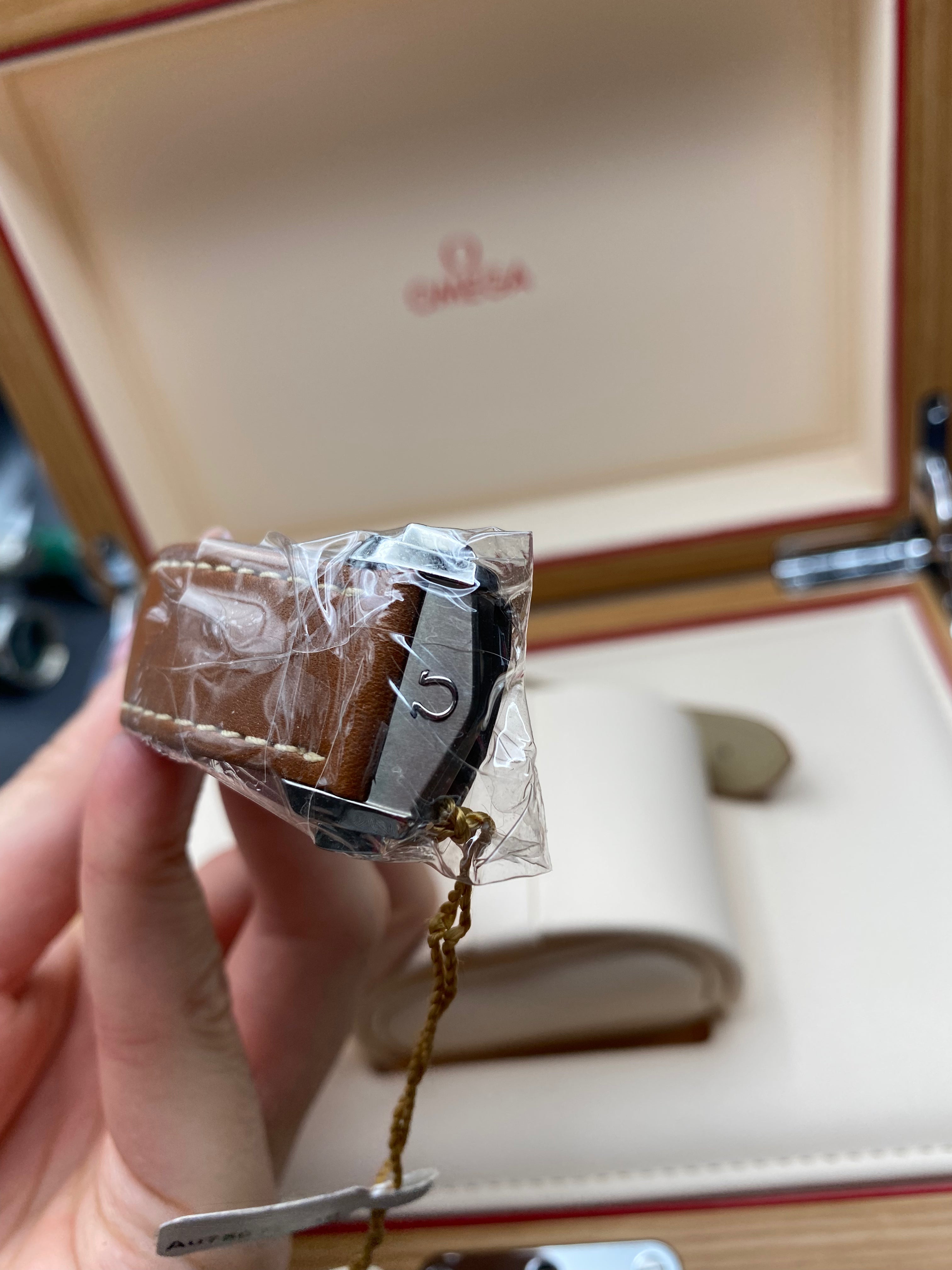 Omega Seamaster 300 Master Chronometer 41 MM 233.62.41.21.03.001 2025