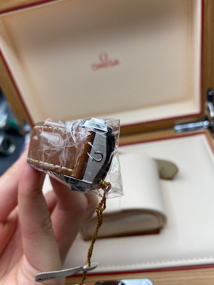 Omega Seamaster 300 Master Chronometer 41 MM 233.62.41.21.03.001 2025