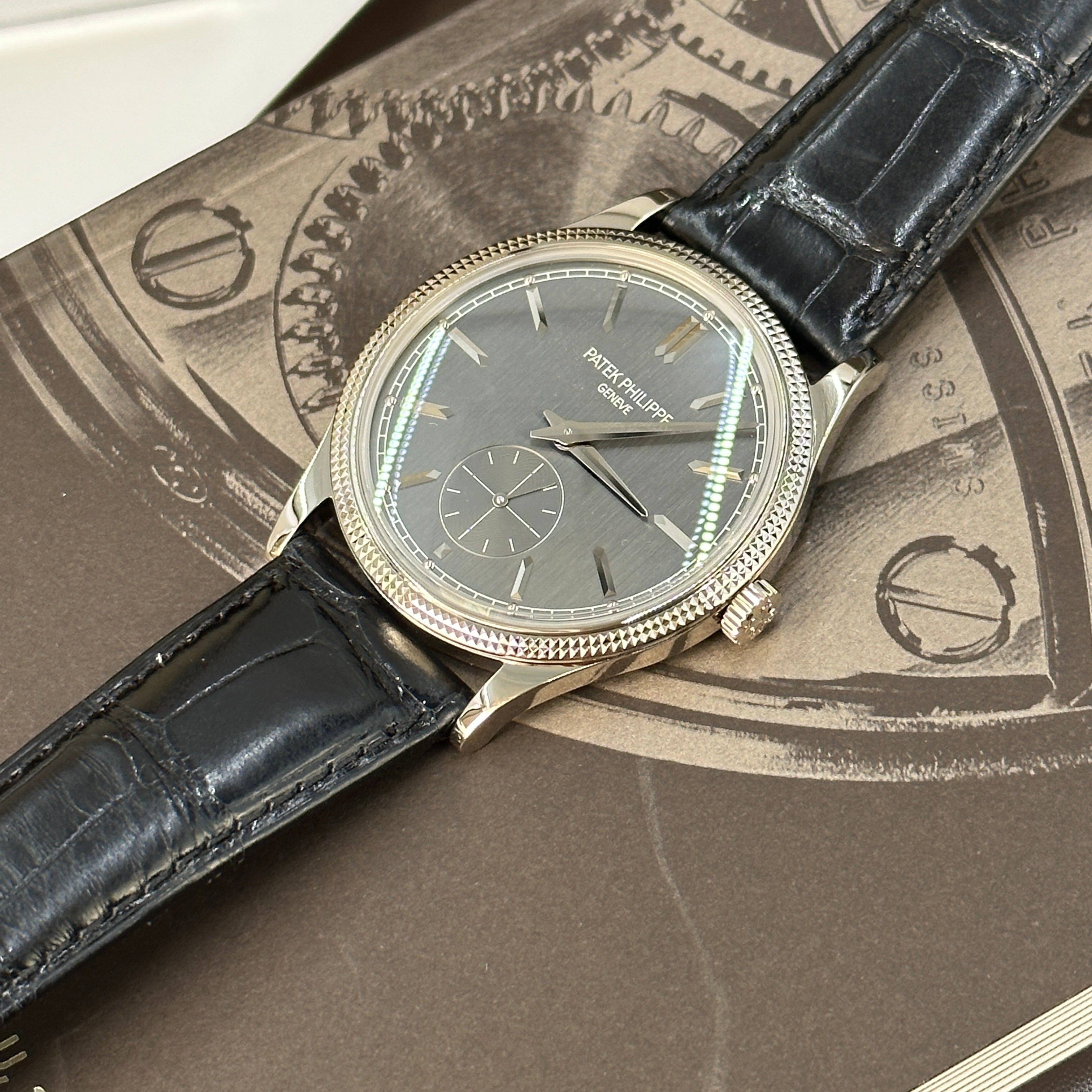 Patek Philippe Calatrava 6119G-001 Gray 2025